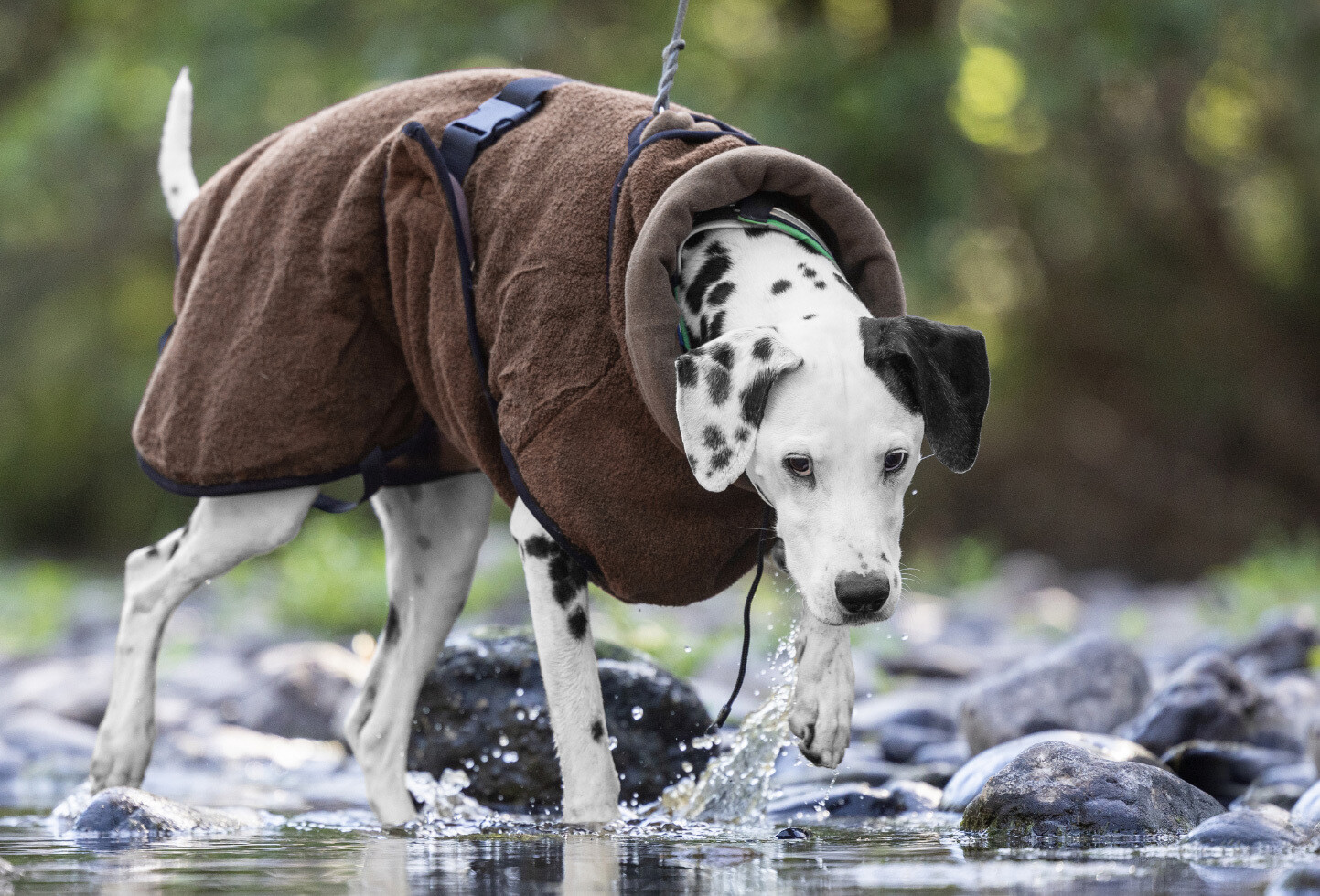 Actionfactory Hundemantel Warmup Cape Pro (mocca) Actionfactory Hundemantel Warmup Cape Pro (mocca)