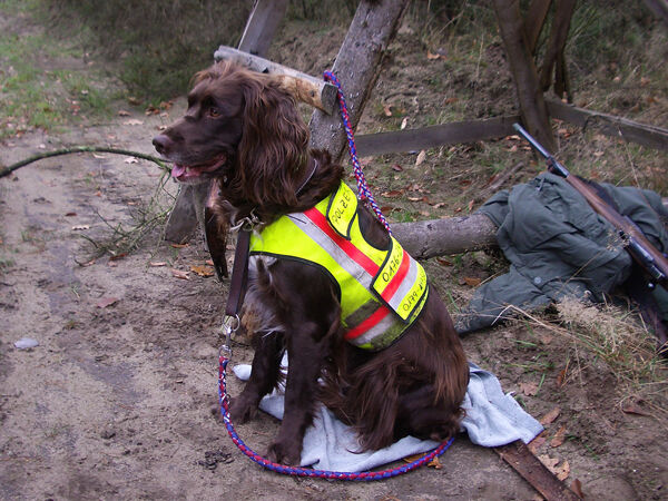 Nordforest Hunting Hundewarnweste (neongelb) Nordforest Hunting Hundewarnweste (neongelb)