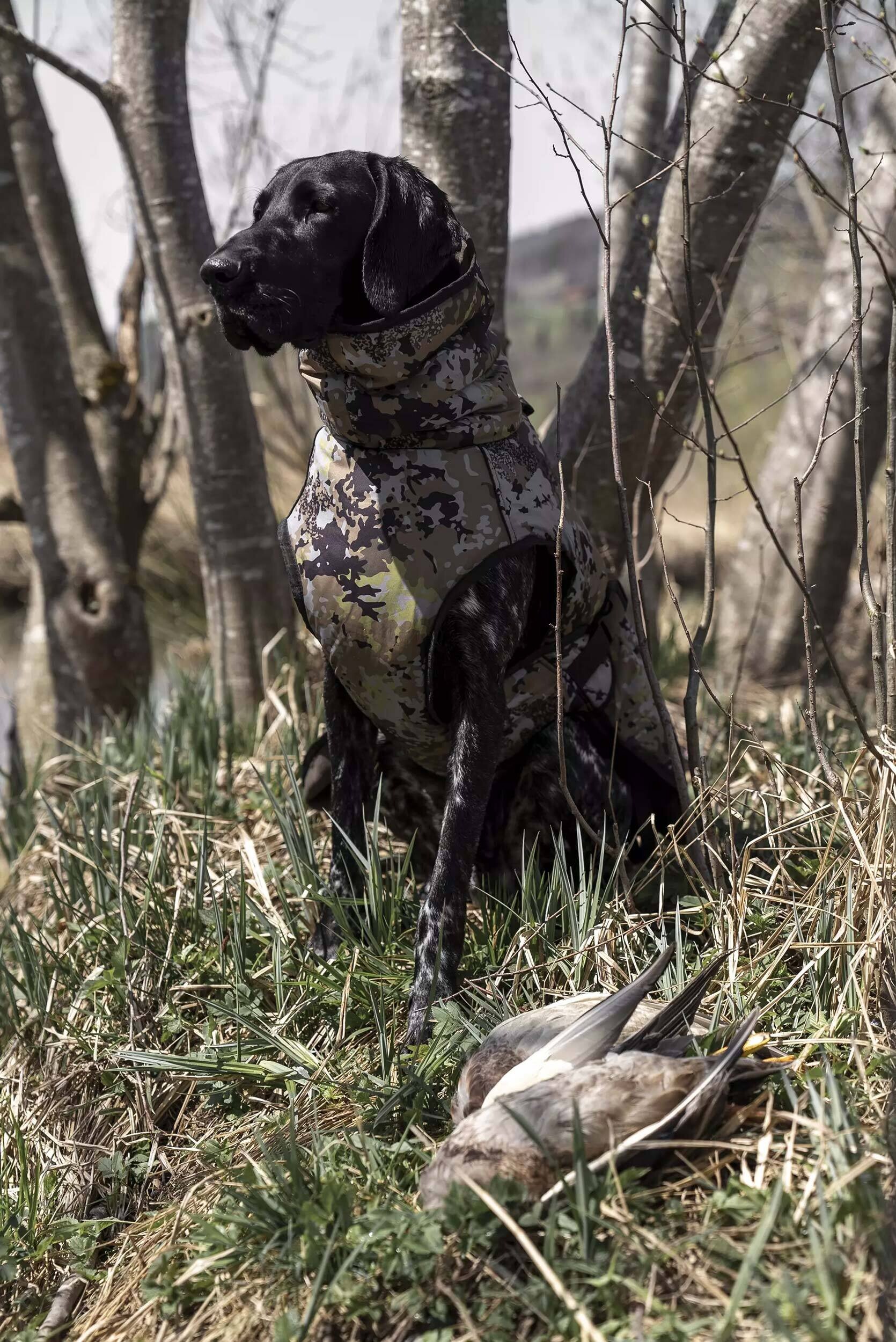 Blaser Hundeponcho (huntec camo)