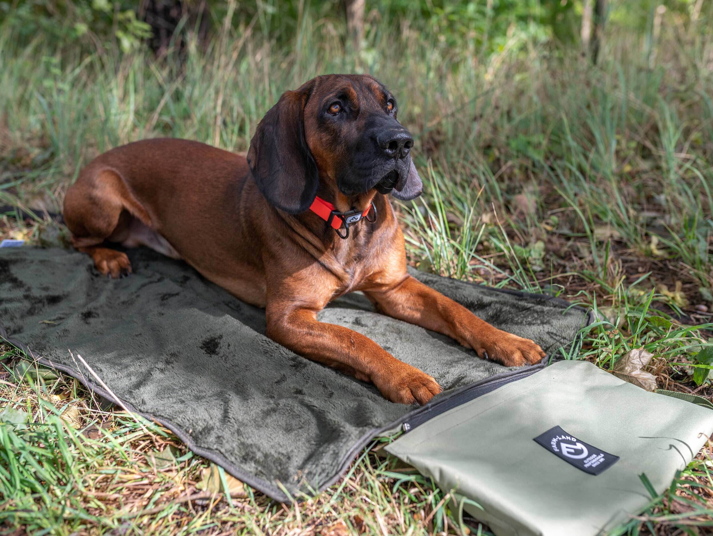 Outdoor-Hundebett mit Tasche