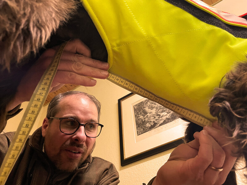 Ein Maßband ist im Bauchbereich eines deutschen Wachtelhundes, der eine Hundeschtzweste trägt, angelegt.
