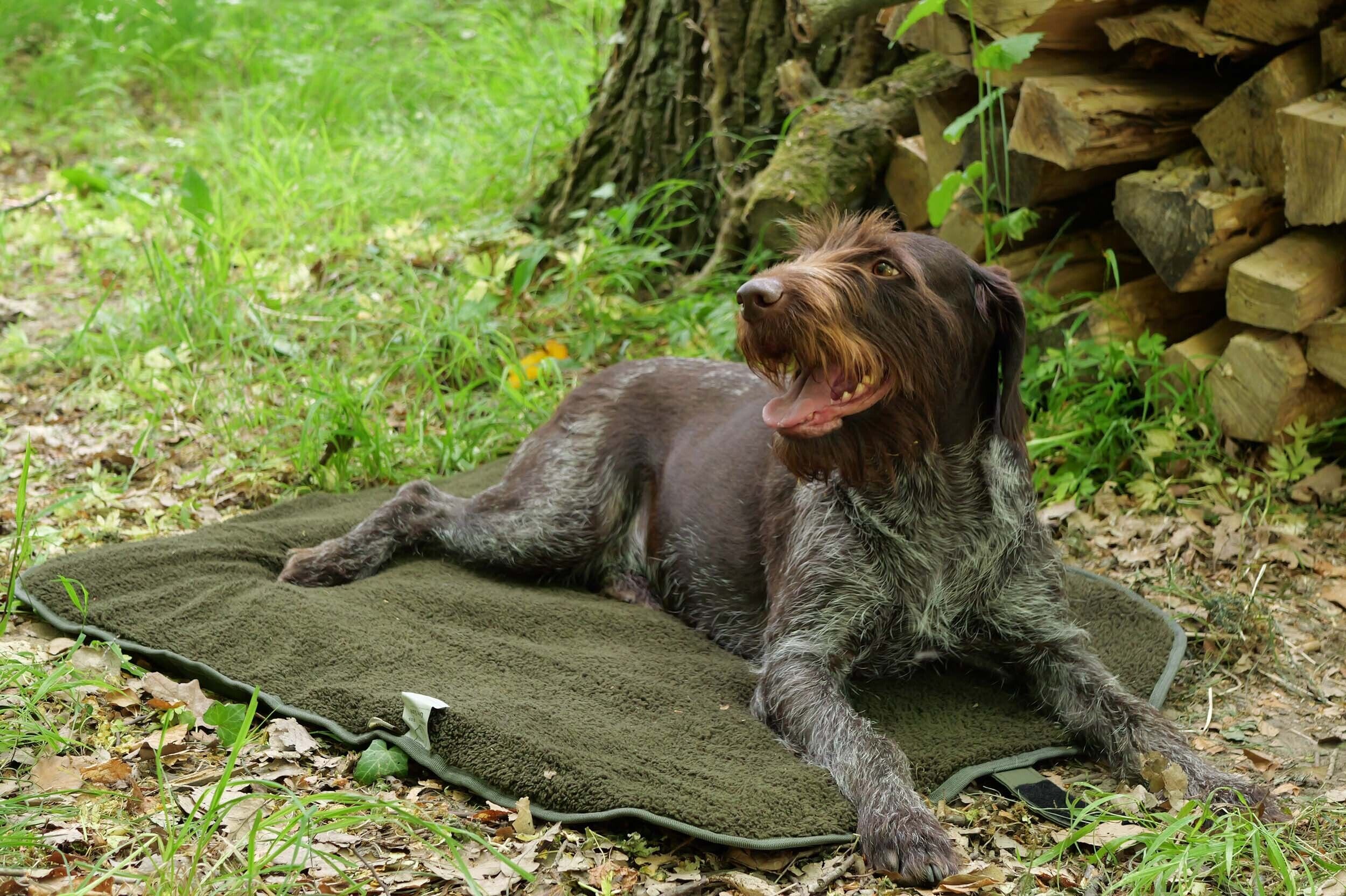 Hubertus Outdoor ISO Hundebett 100 x 70 cm (oliv)
