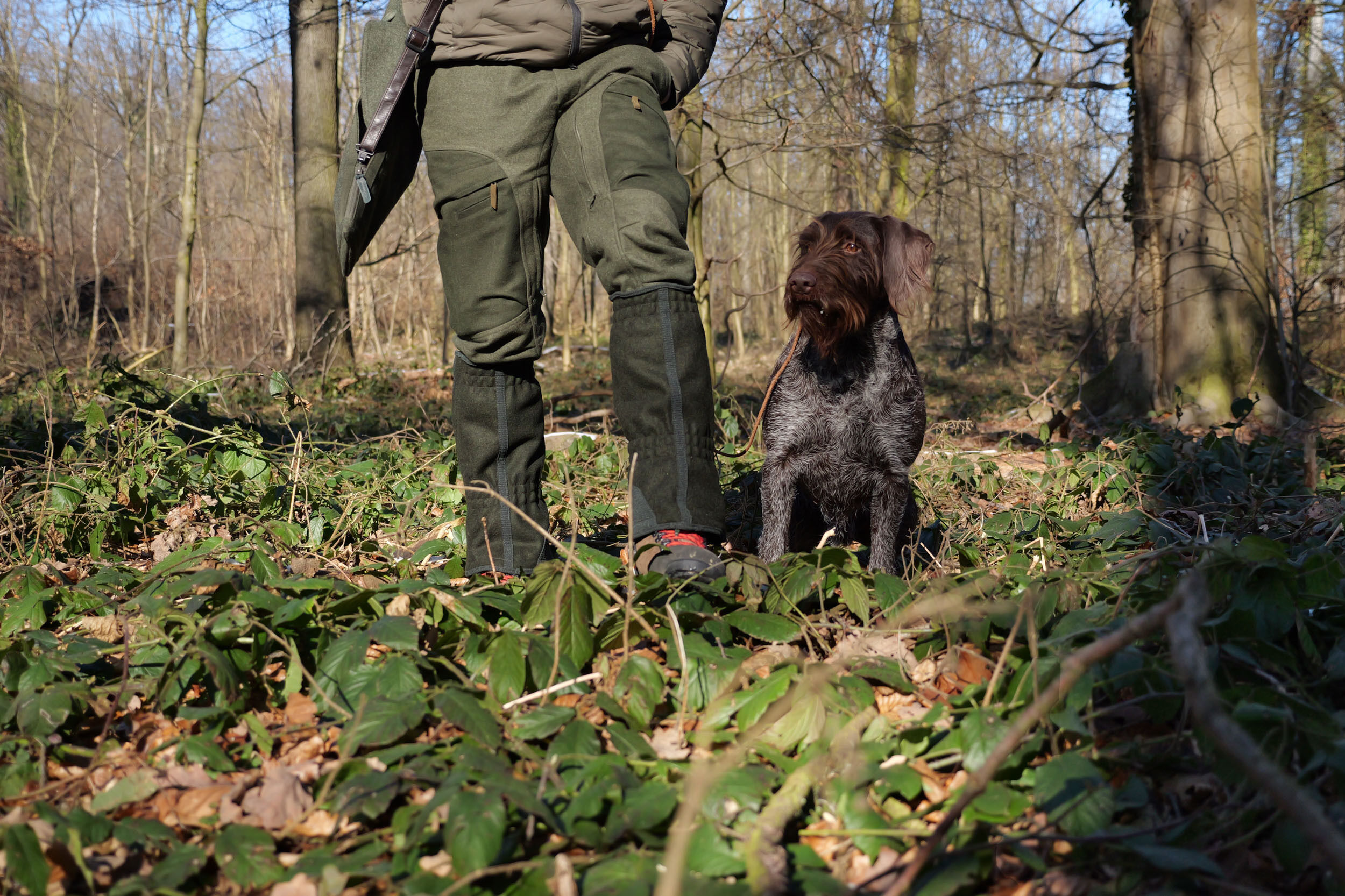 Jagdhund Lodengamaschen Schladminger (oliv) Jagdhund Lodengamaschen Schladminger (oliv)
