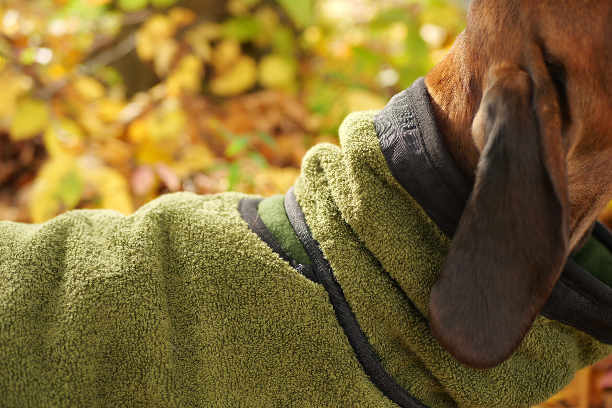Actionfactory Hundemantel Warmup Cape Pro (pine green)