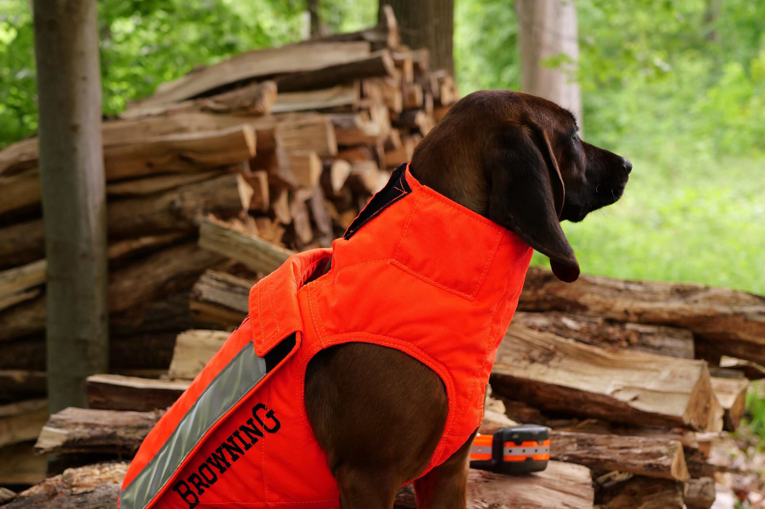 Browning Protect Hunter Hundeschutzweste (orange) Browning Protect Hunter Hundeschutzweste (orange)