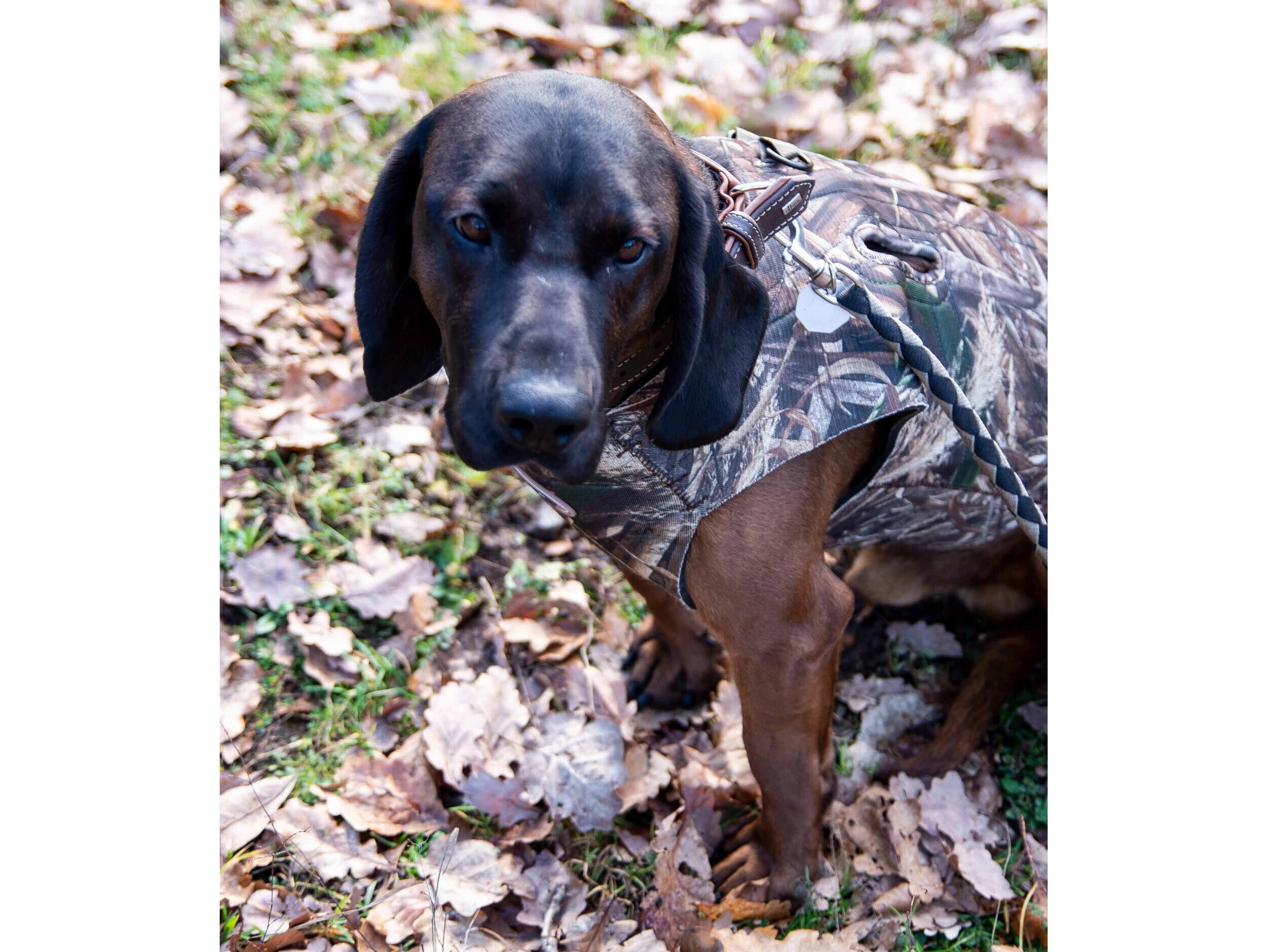 Avery Sporting Dog Boater's Hundeparka (MAX-5 camo) Avery Sporting Dog Boater's Hundeparka (MAX-5 camo)
