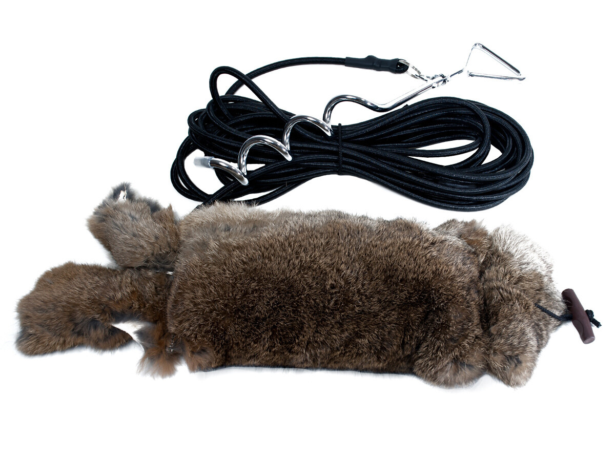 Mystique Bolting Rabbit / Running Rabbit