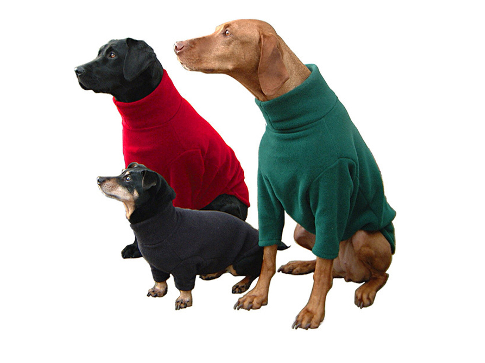 Hundepullover Fleece Hotterdog Dog Jumper (Rot)