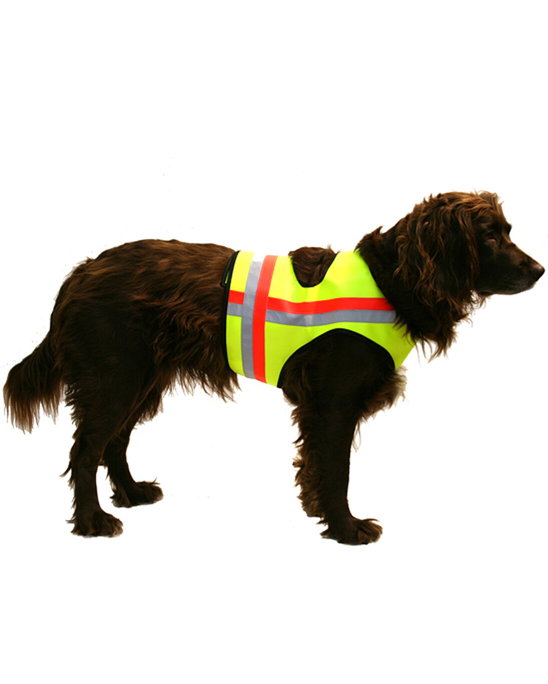 Nordforest Hunting Hundewarnweste (neongelb)