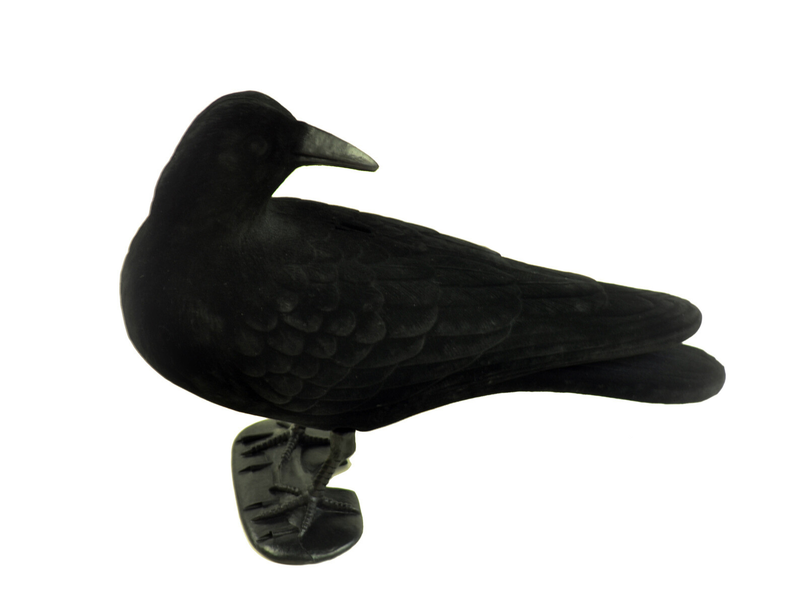 Beflocktes Profi Lockkrähenset (12 Stück)