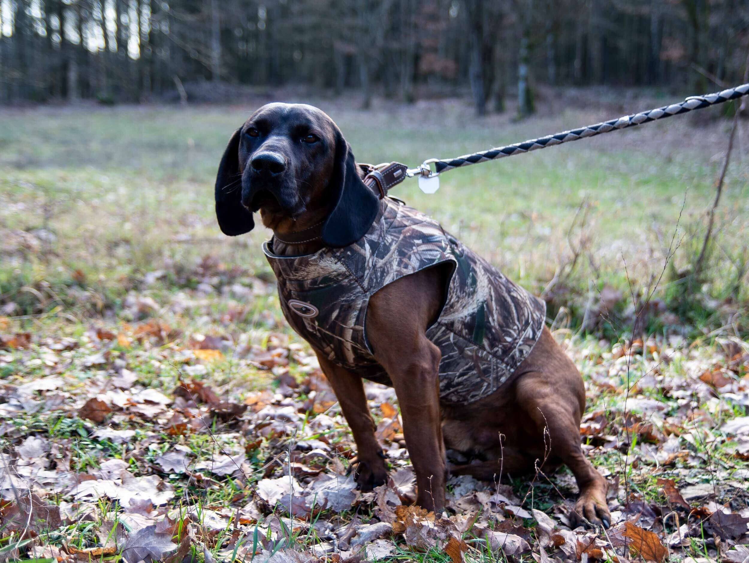 Avery Sporting Dog Boater's Hundeparka (MAX-5 camo) Avery Sporting Dog Boater's Hundeparka (MAX-5 camo)