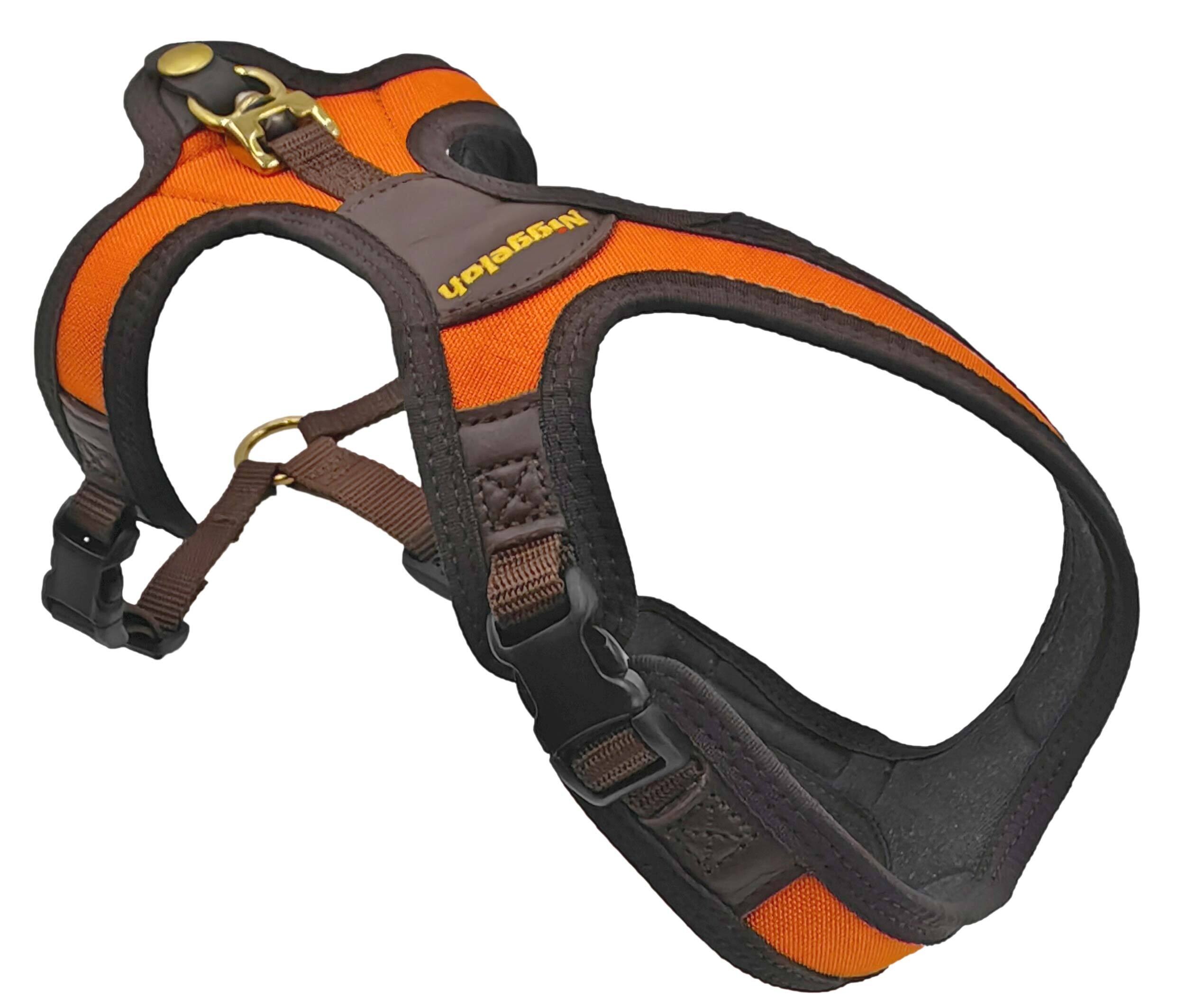 Niggeloh Hundegeschirr Follow Light (orange/braun)