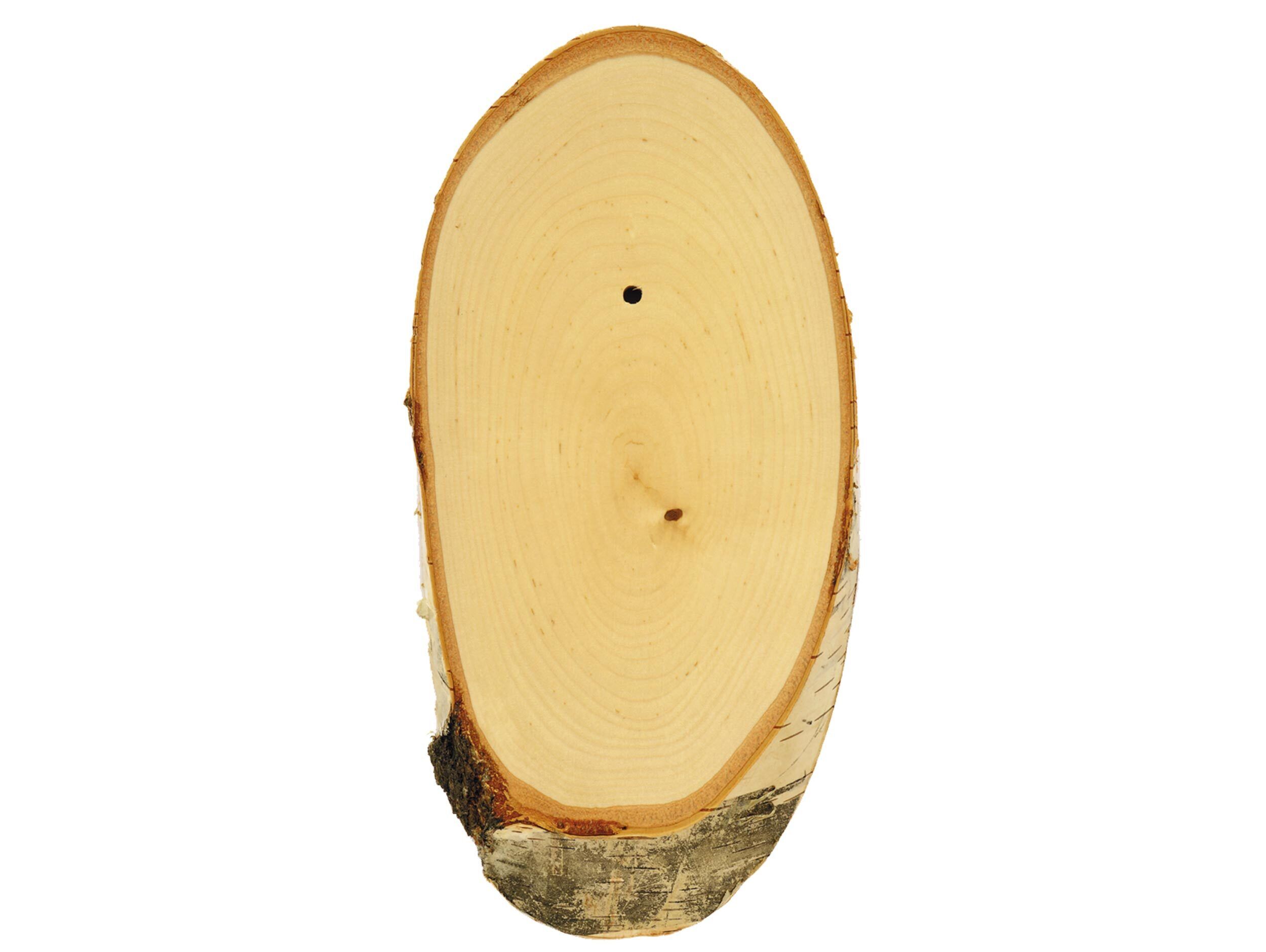 Eurohunt Rehbockbrett Birke 20x12cm (natur) Eurohunt Rehbockbrett Birke 20x12cm (natur)