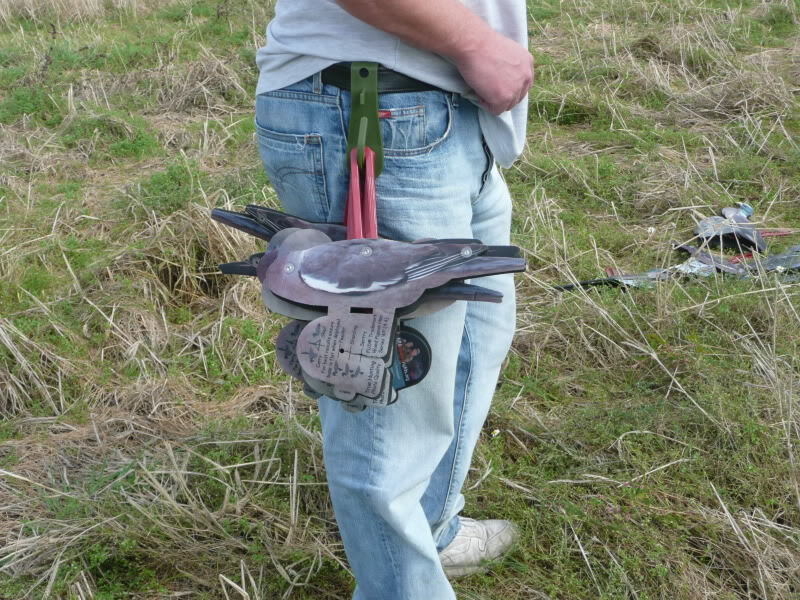 FUD Locktauben (6 Stück) FUD Locktauben (6 Stück)