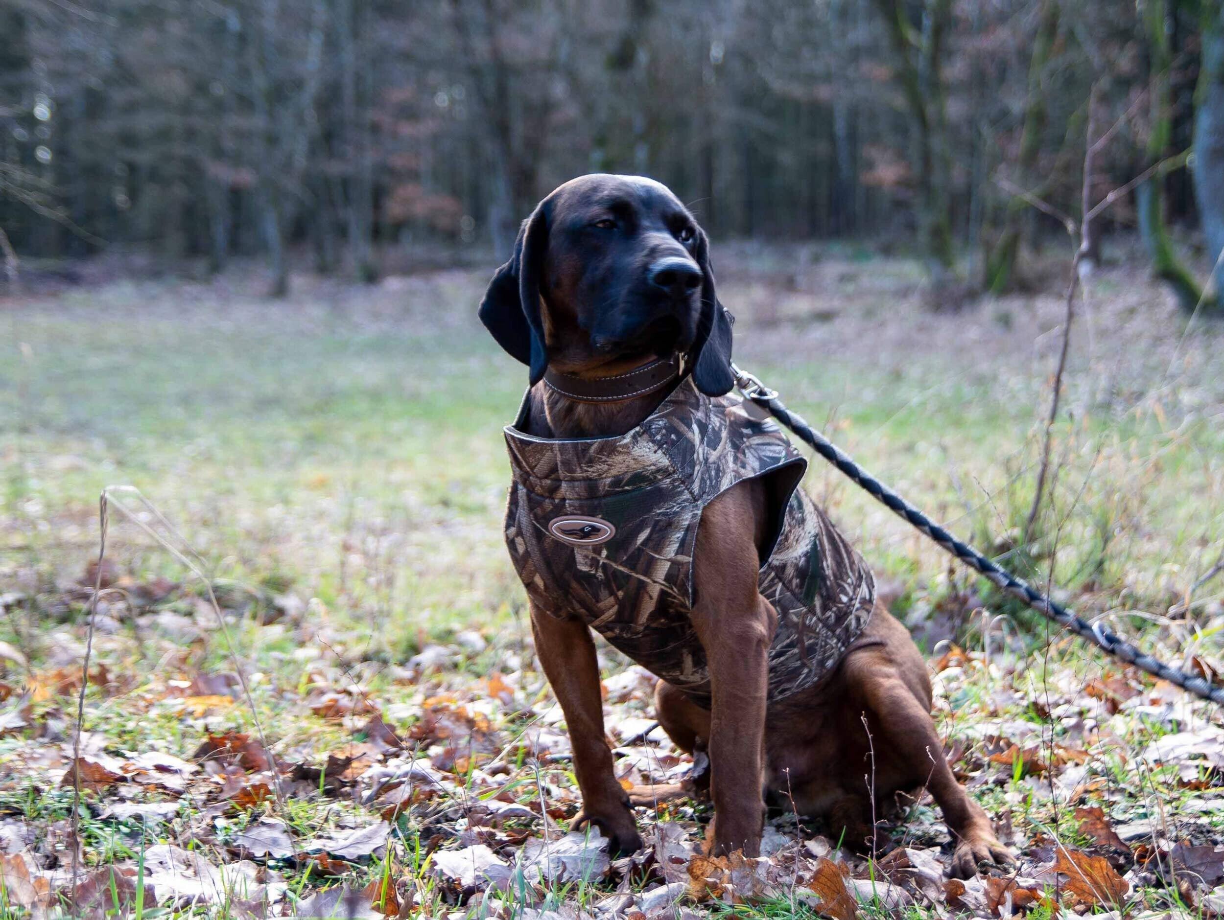 Avery Sporting Dog Boater's Hundeparka (MAX-5 camo) Avery Sporting Dog Boater's Hundeparka (MAX-5 camo)