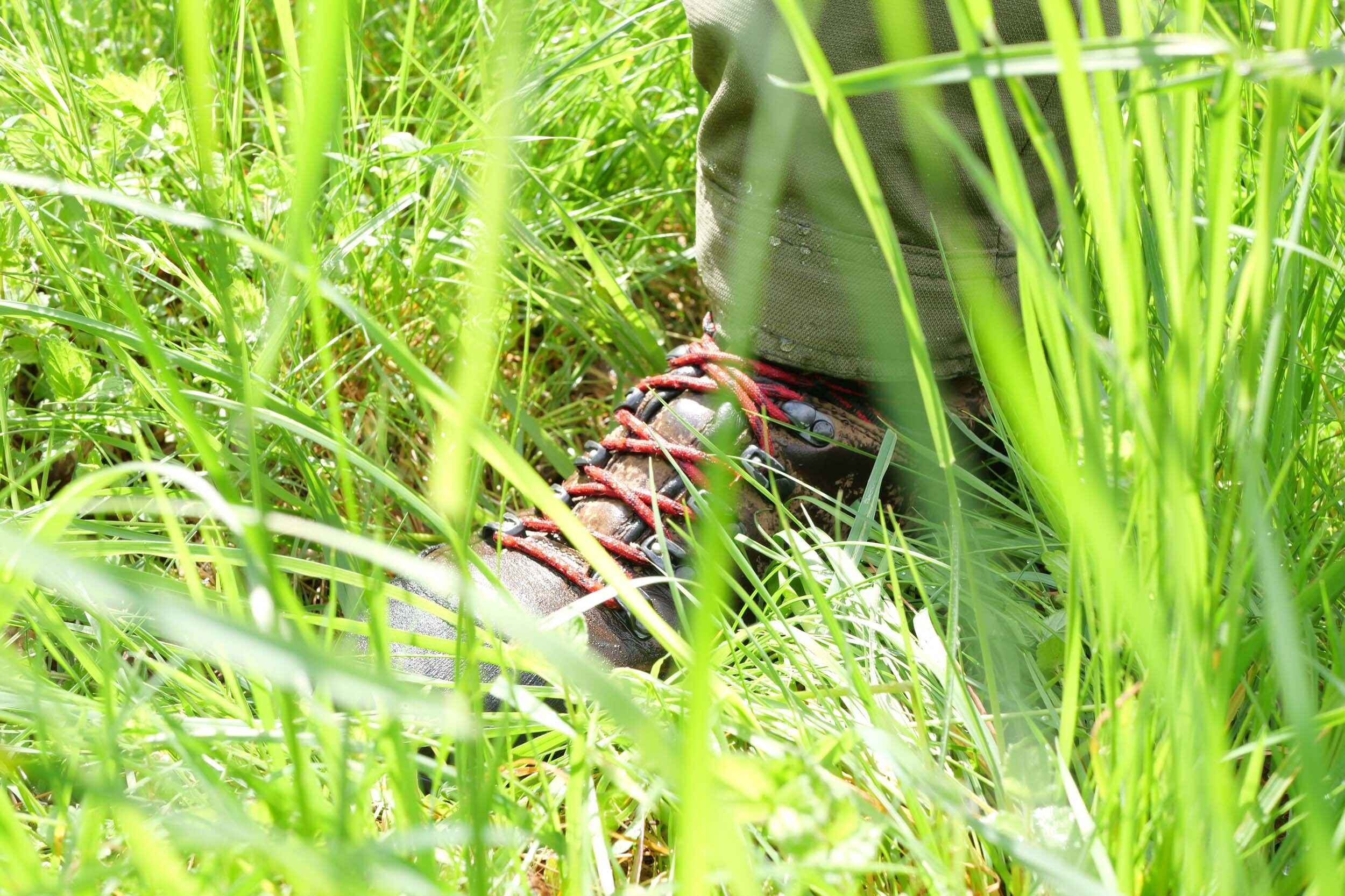 Hubertus Jagdhose Forest (oliv)