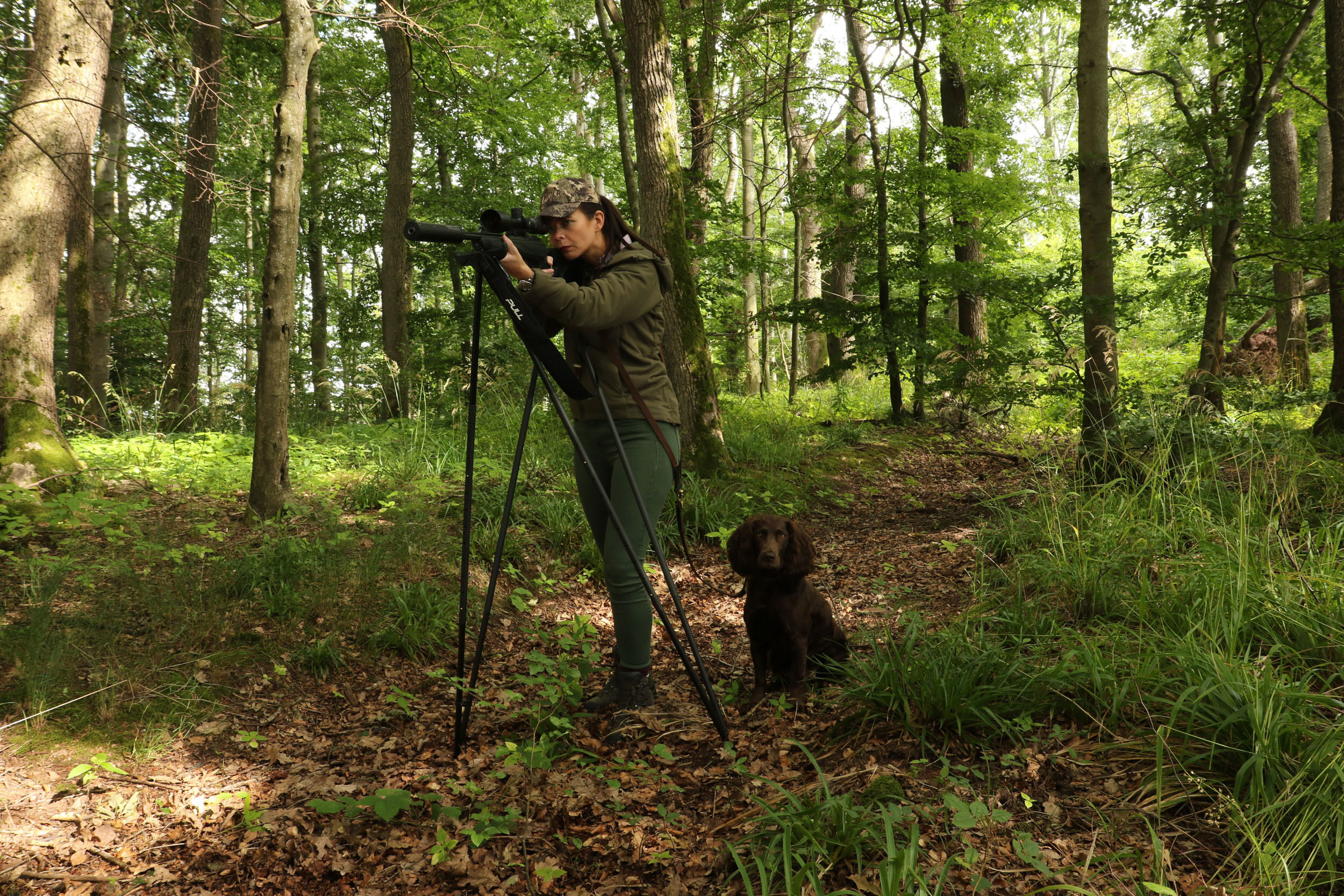 Viper-Flex Styx Elite+ Zielstock