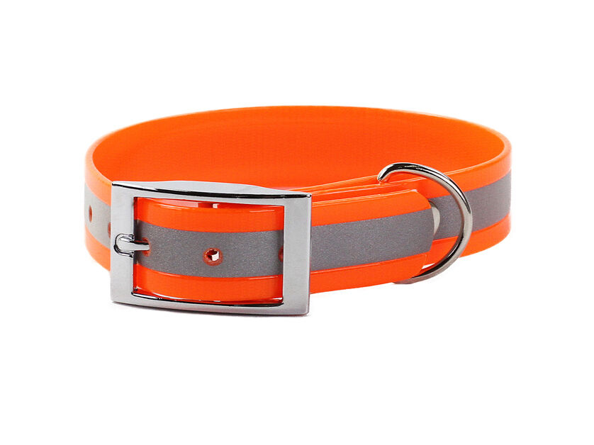 Mystique Biothane-Halsband Deluxe (orange) Mystique Biothane-Halsband Deluxe (orange)