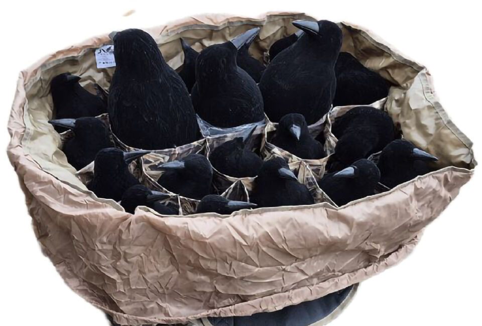 Transporttasche für Lockkrähen 20 Fächer (Camo)