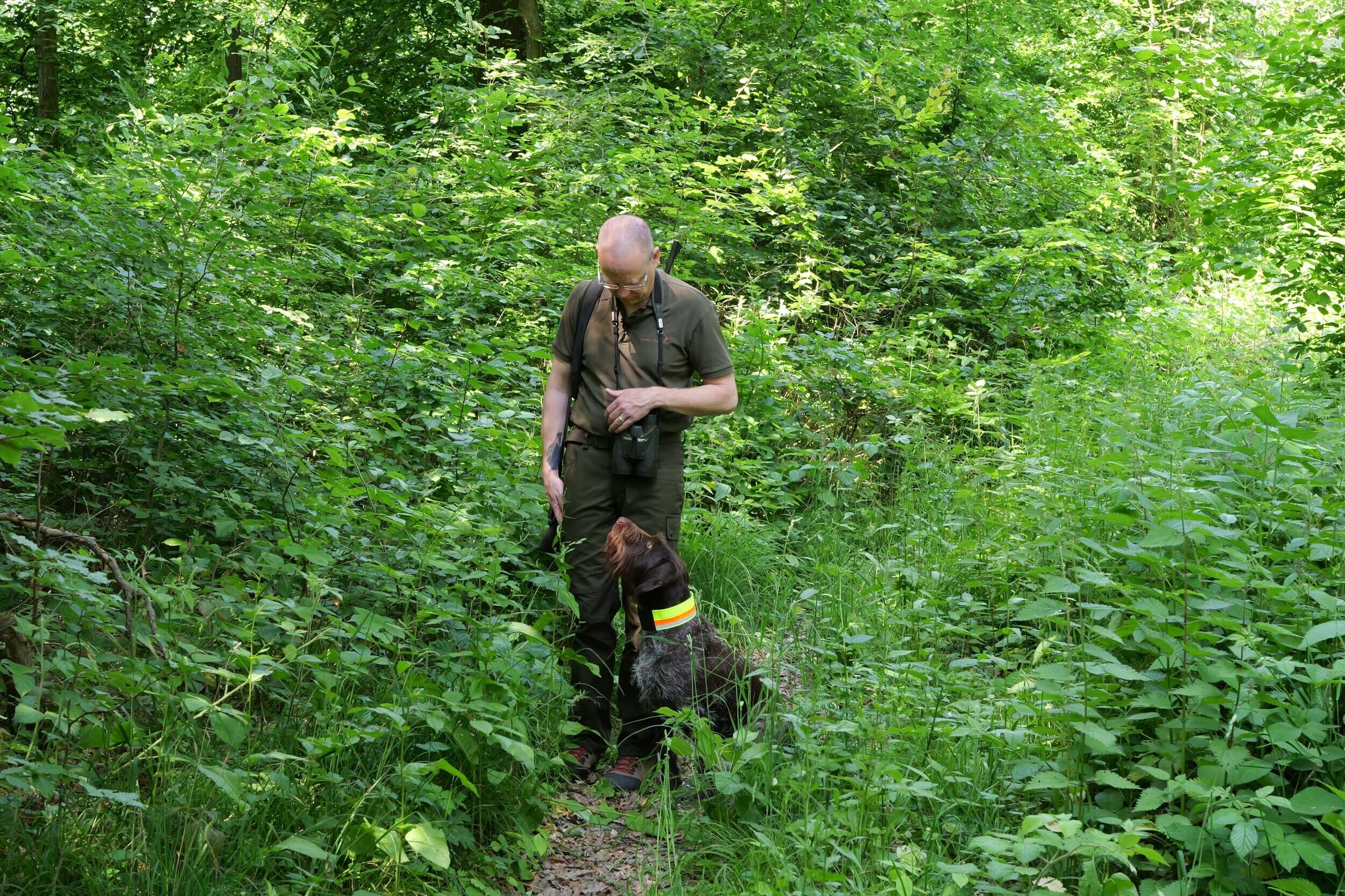 Nordforest Hunting Hundewarnhalsung anpassbar (neongelb)