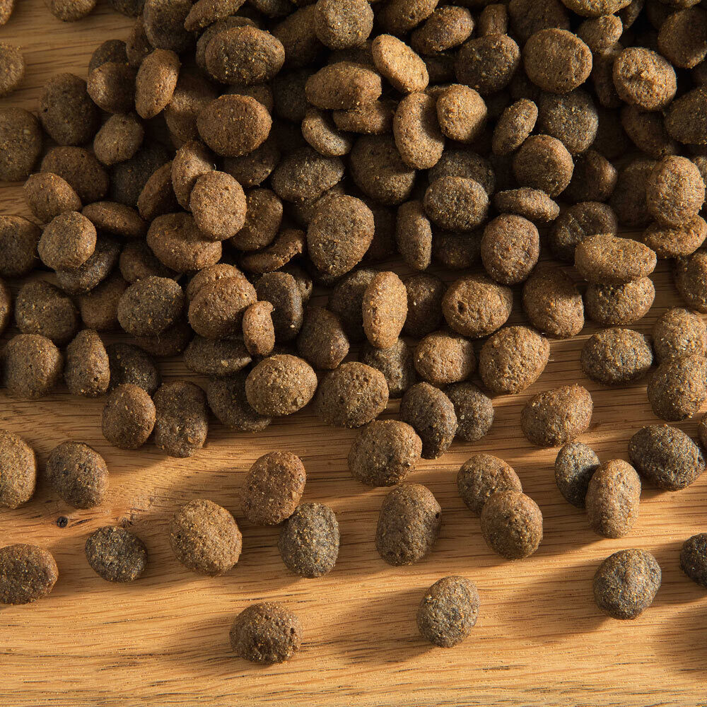 Hubertus Gold Sensitive Premium-Trockenfutter (14 kg) Hubertus Gold Sensitive Premium-Trockenfutter (14 kg)