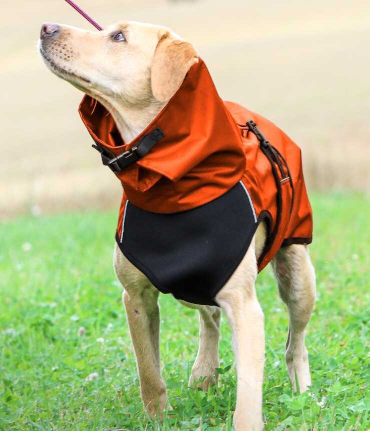 Actionfactory Active Cape Wind & Rain Elastic Regenschutz (Orange) Actionfactory Active Cape Wind & Rain Elastic Regenschutz (Orange)