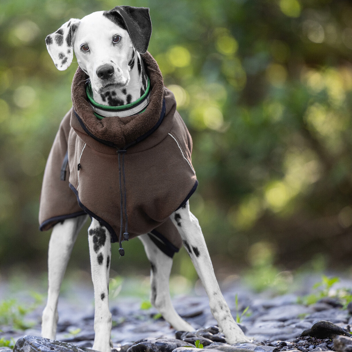 Actionfactory Hundemantel Warmup Cape Pro (mocca) Actionfactory Hundemantel Warmup Cape Pro (mocca)