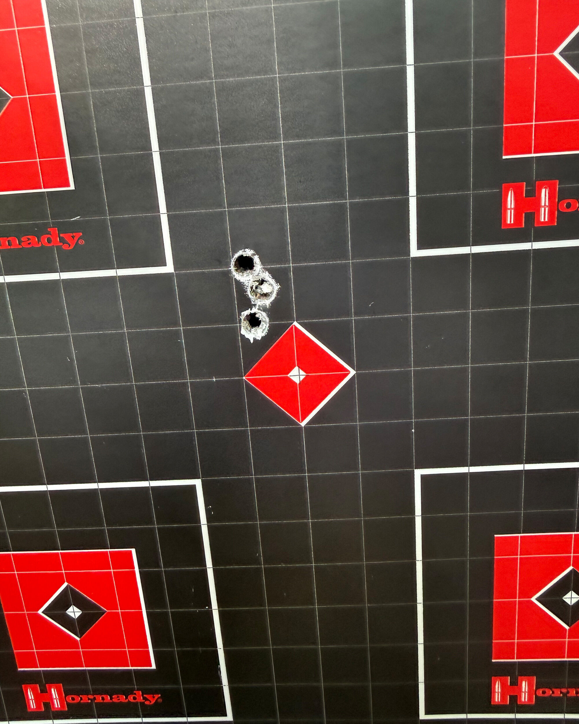 Hornady Lock n Load Target (10er Pack)