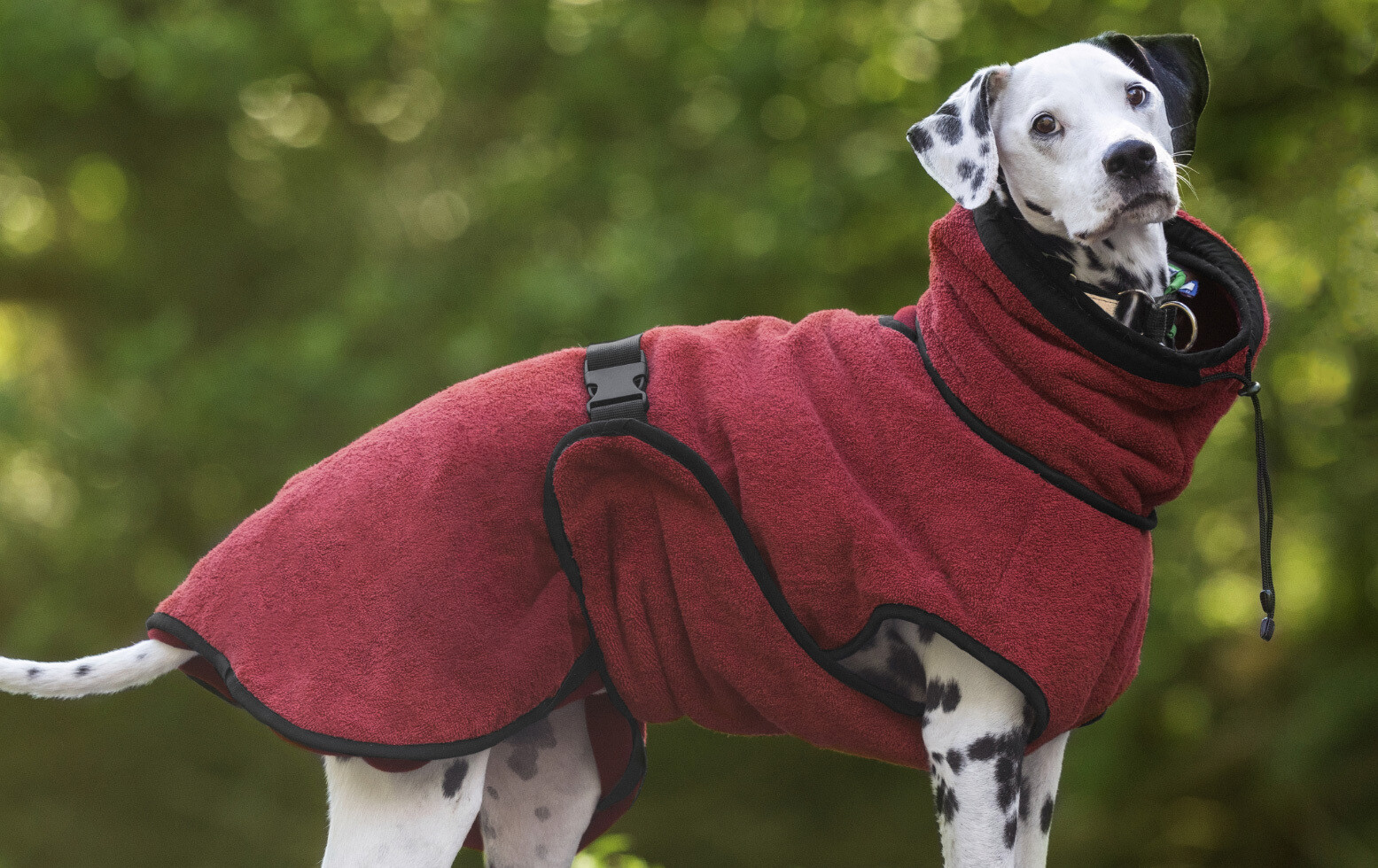 Actionfactory Hundemantel Warmup Cape Pro (Bordeaux)