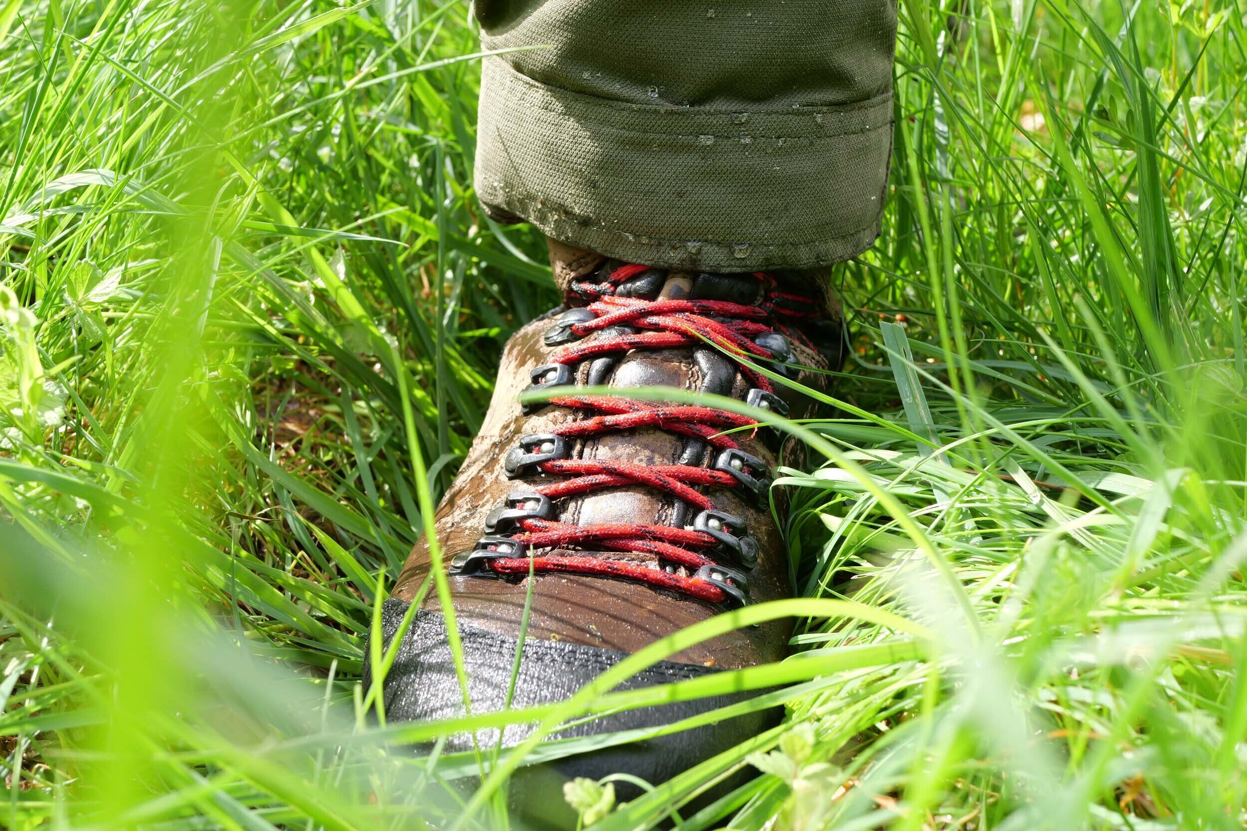 Hubertus Jagdhose Forest (oliv)