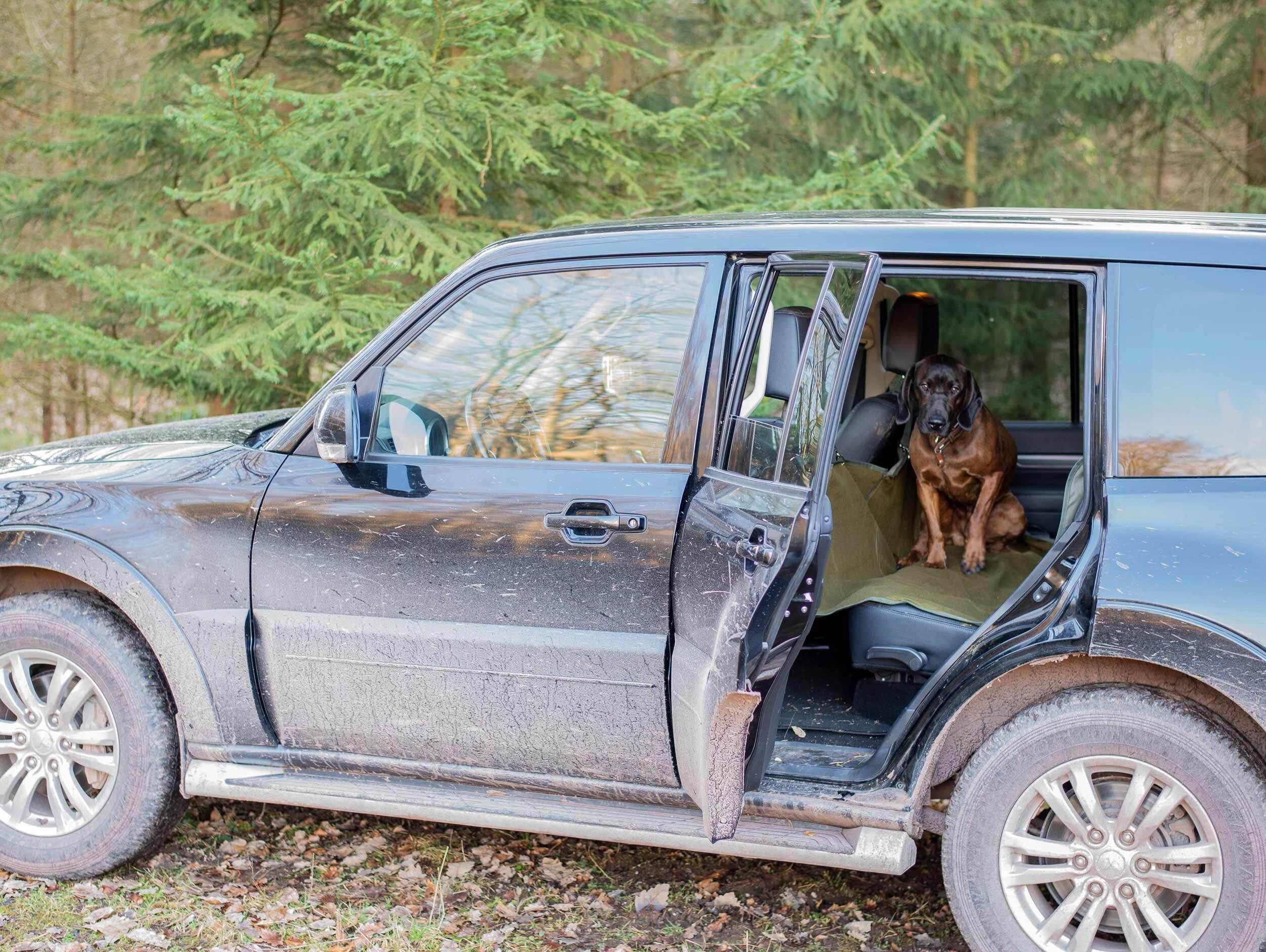 Autositz-Schonbezug Rückbank Autositz-Schonbezug Rückbank