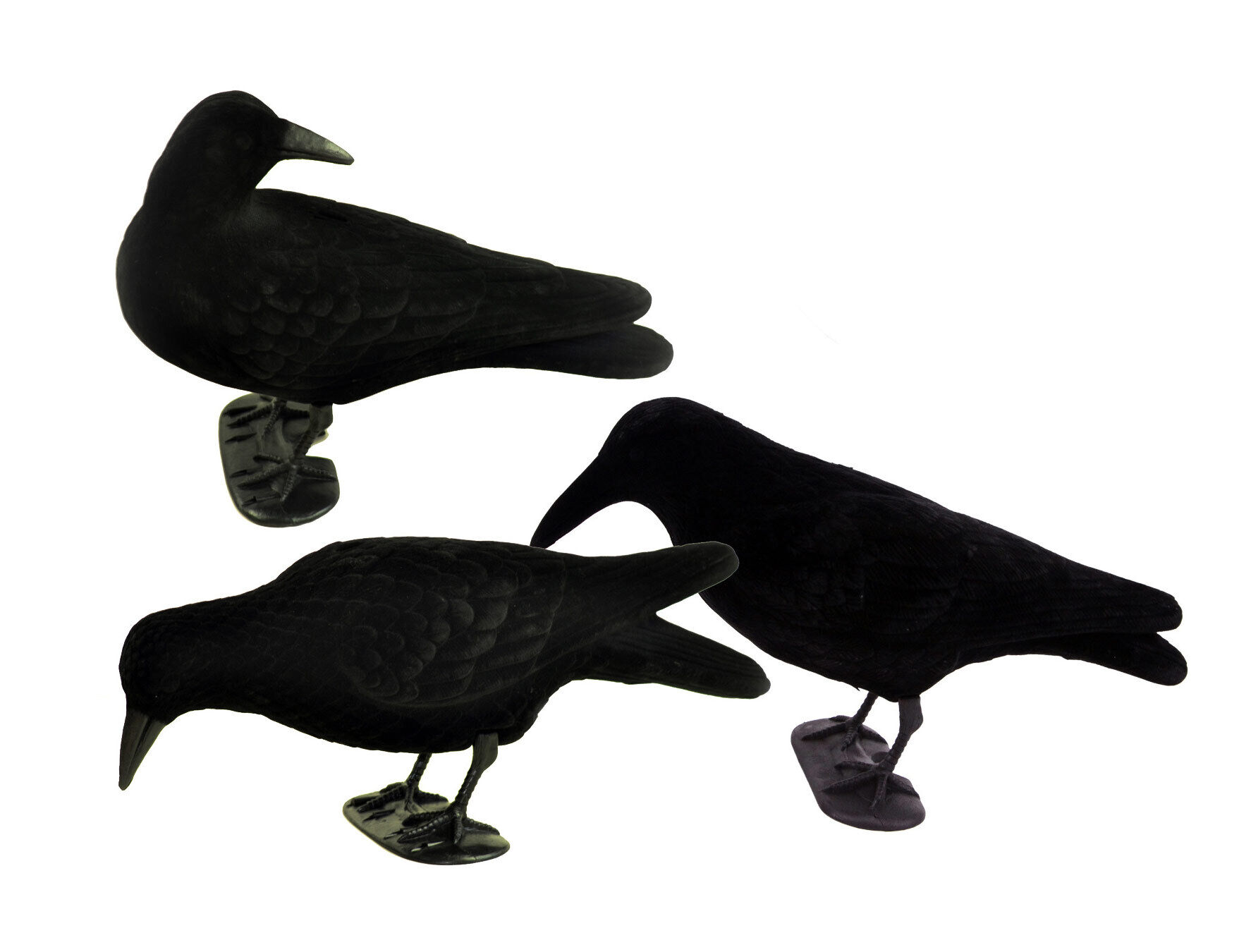 Beflocktes Profi Lockkrähenset (12 Stück) Beflocktes Profi Lockkrähenset (12 Stück)