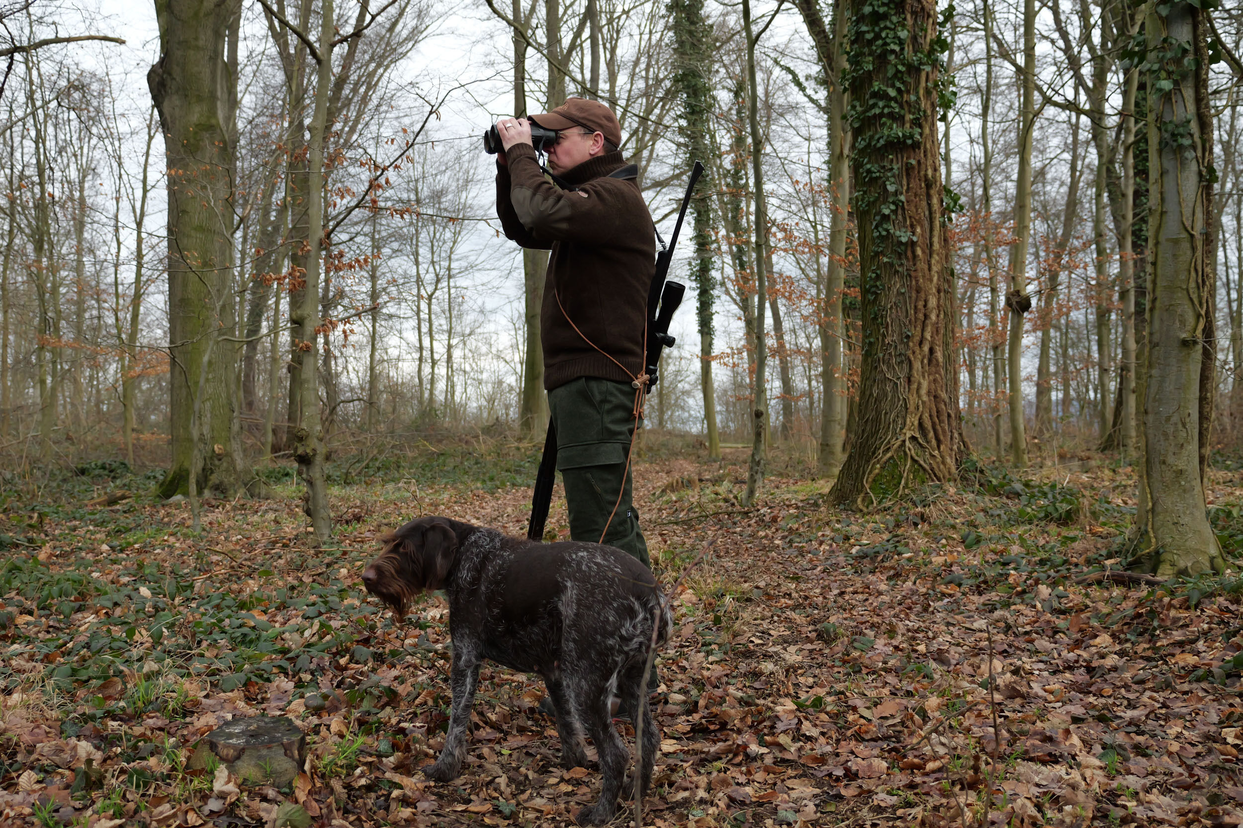 Jagdhund Lodenhose Gradenstein (Grün) Jagdhund Lodenhose Gradenstein (Grün)