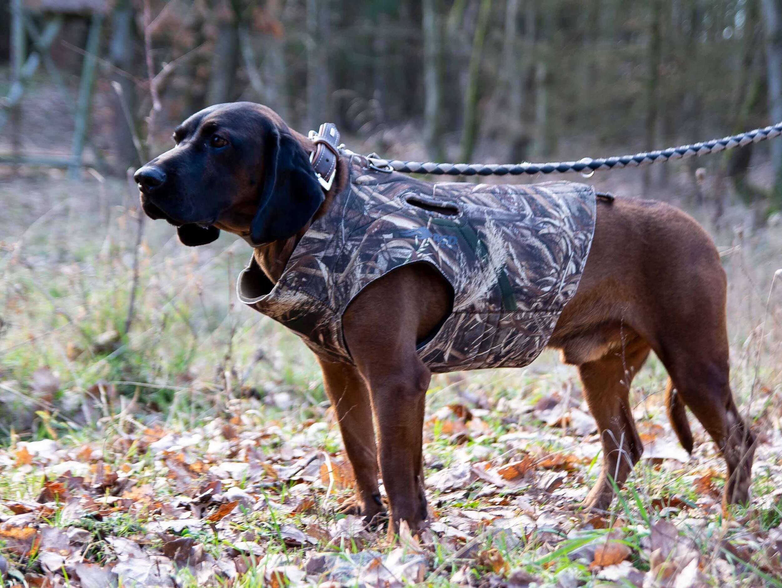 Avery Sporting Dog Boater's Hundeparka (MAX-5 camo) Avery Sporting Dog Boater's Hundeparka (MAX-5 camo)