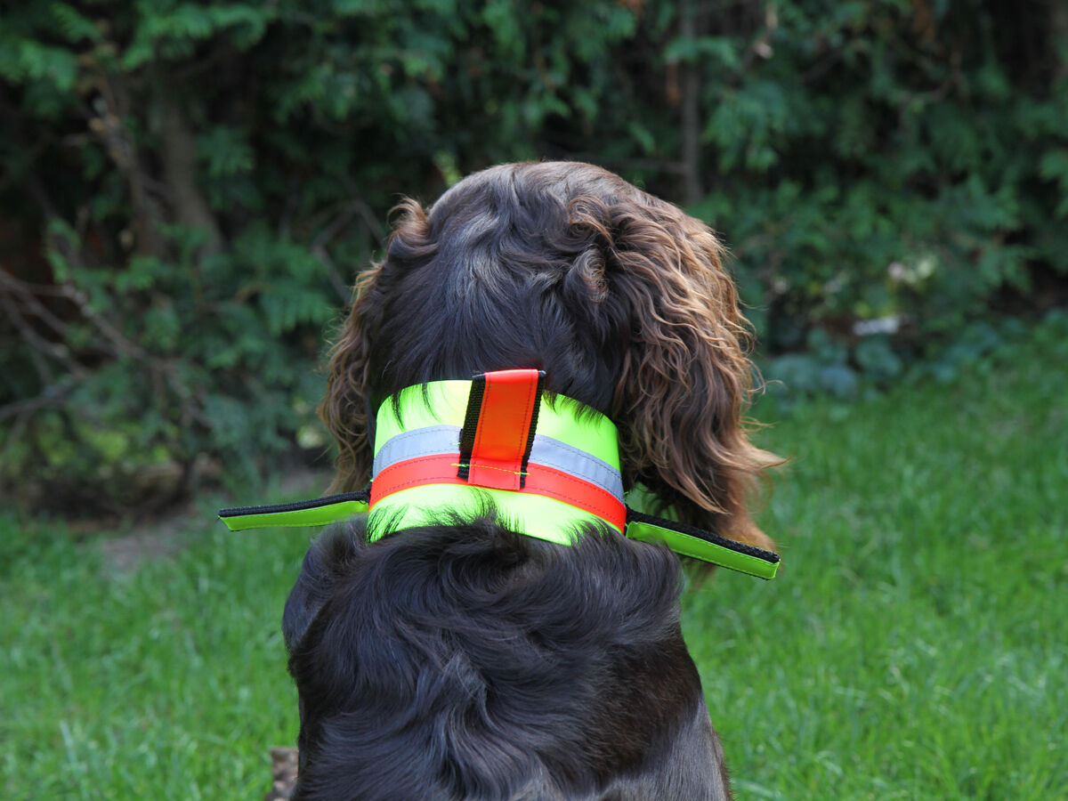 Hundesignalhalsung mit drei Fahnen (Schwedenhalsung) Nordforest Hunting Hundewarnhalsung mit 3 Fahnen (neongelb)
