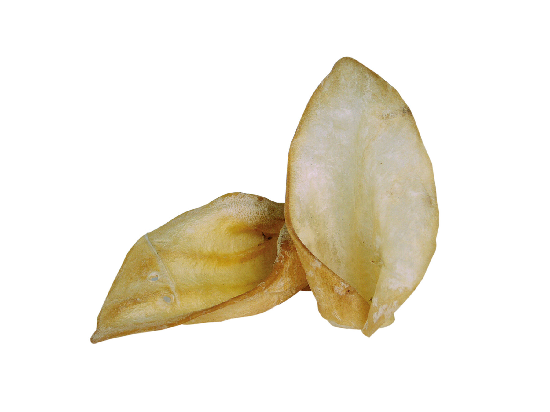 AKAH NaturVital Getrocknete Rinderohren AKAH NaturVital Getrocknete Rinderohren