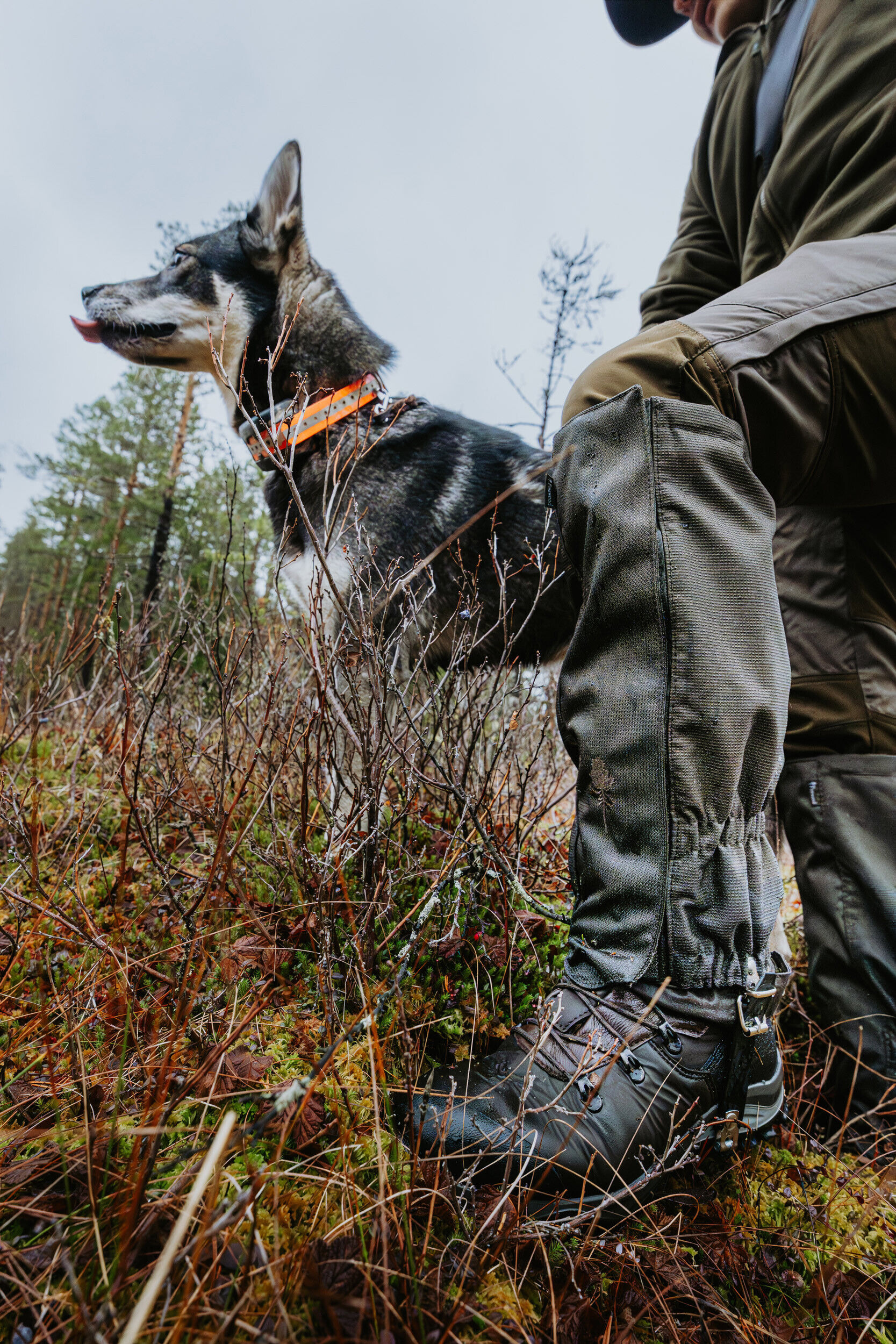 Pinewood Active 2.0 Gaiters / Gamaschen (Mossgreen)
