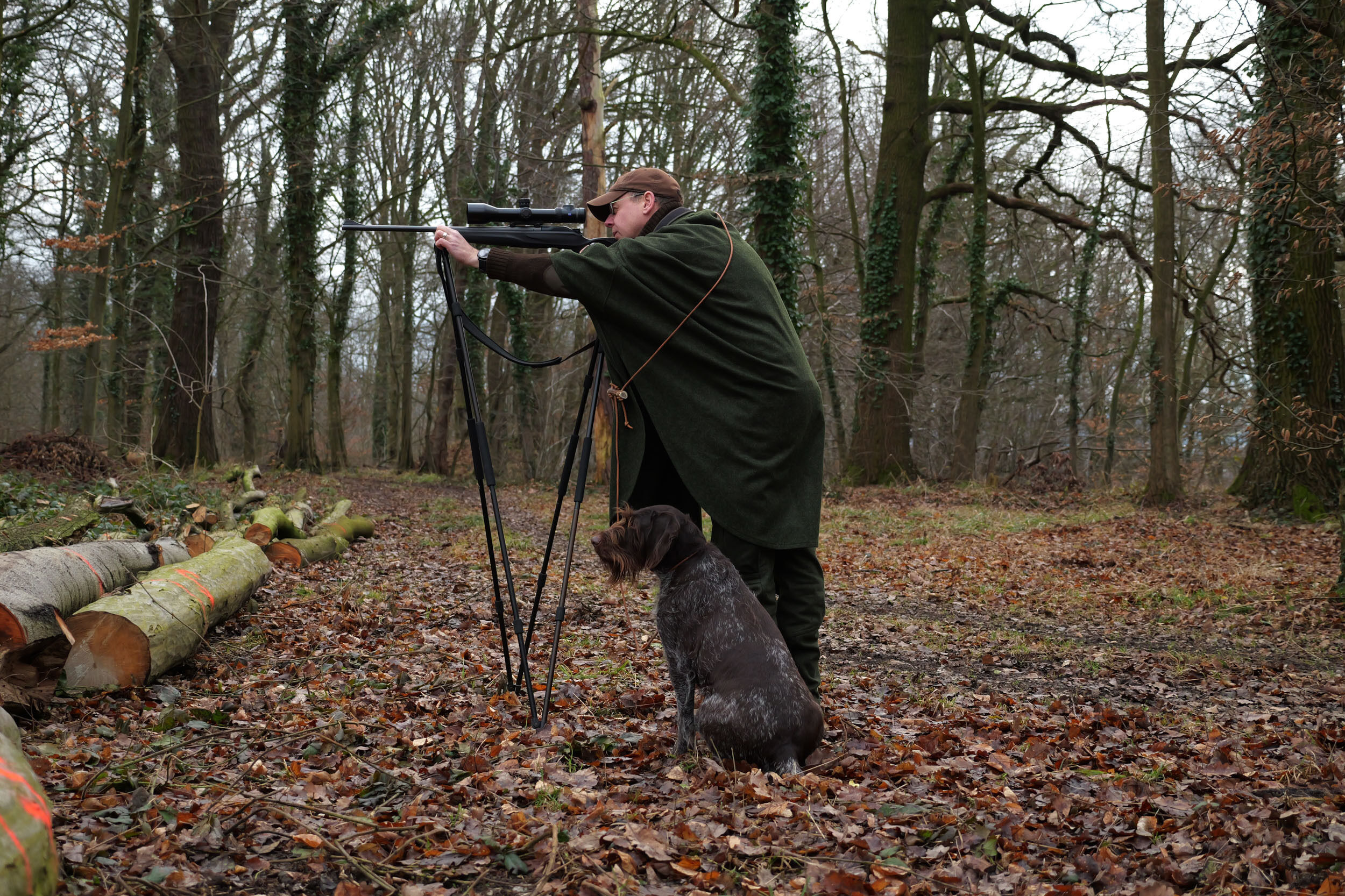 Jagdhund Wetterfleck Rauris 2 (oliv) Jagdhund Wetterfleck Rauris 2 (oliv)