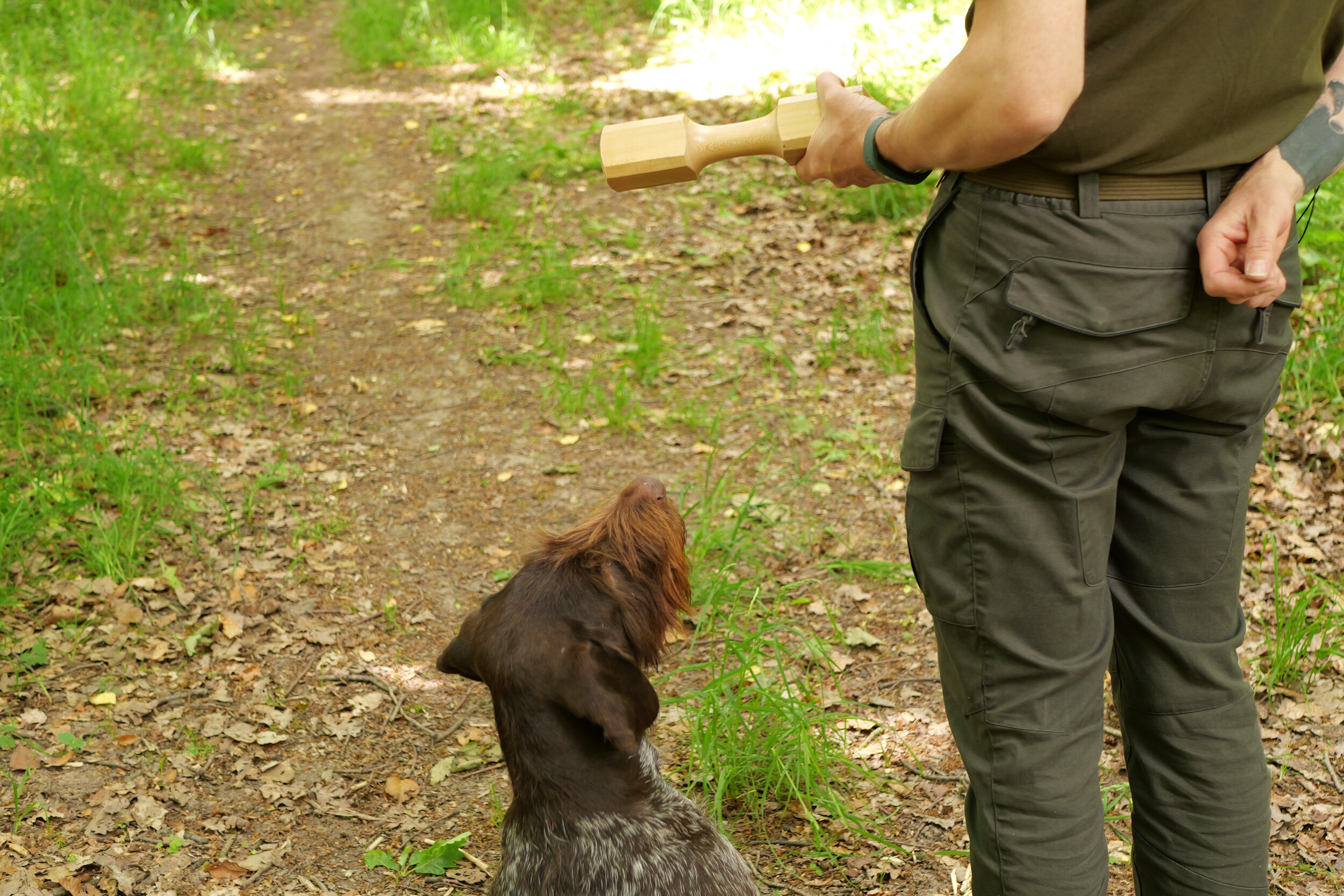 Apportierholz (Apportierbock Holz) Apportierholz (Apportierbock Holz)