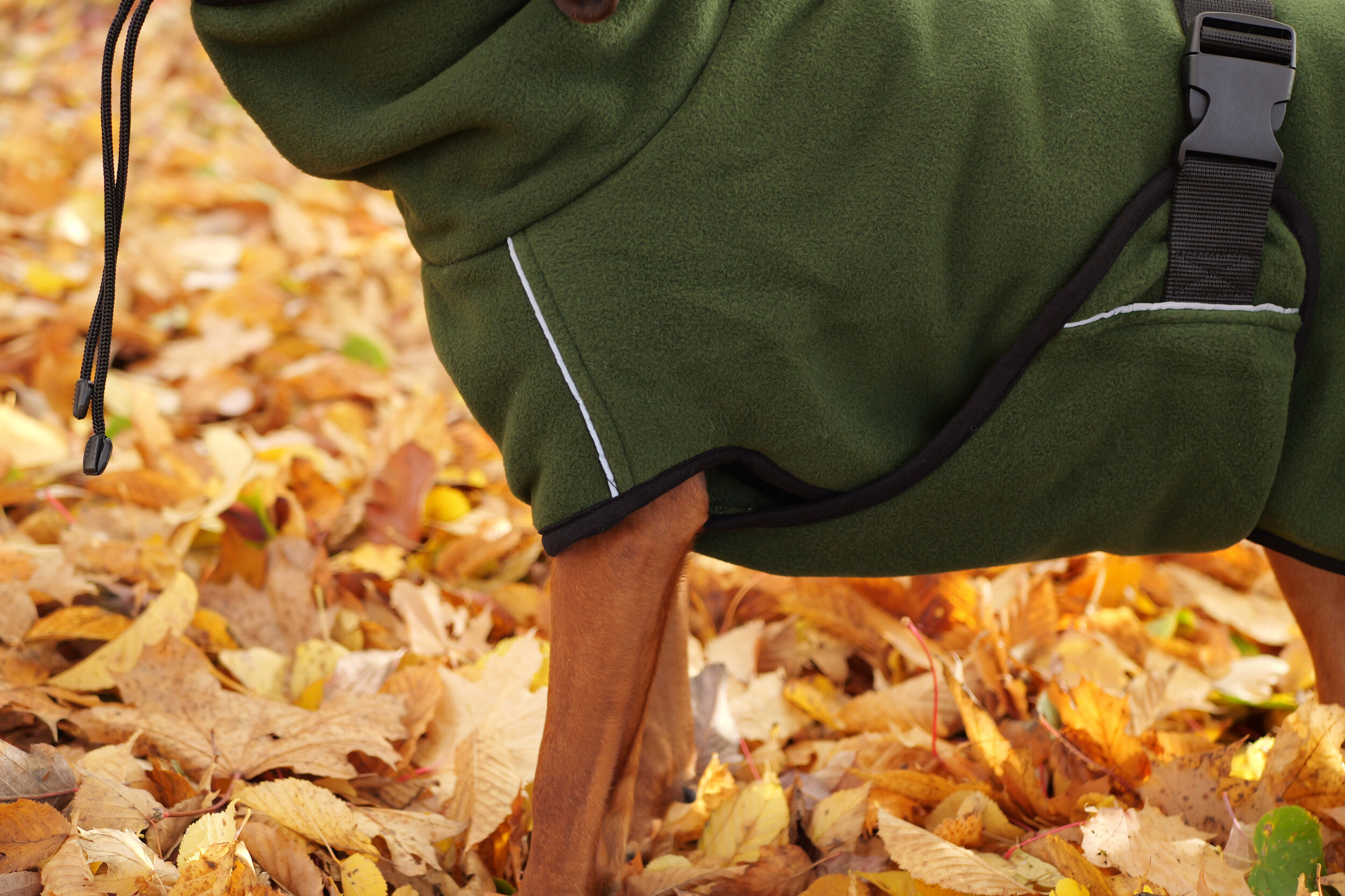 Actionfactory Hundemantel Warmup Cape Pro (pine green)