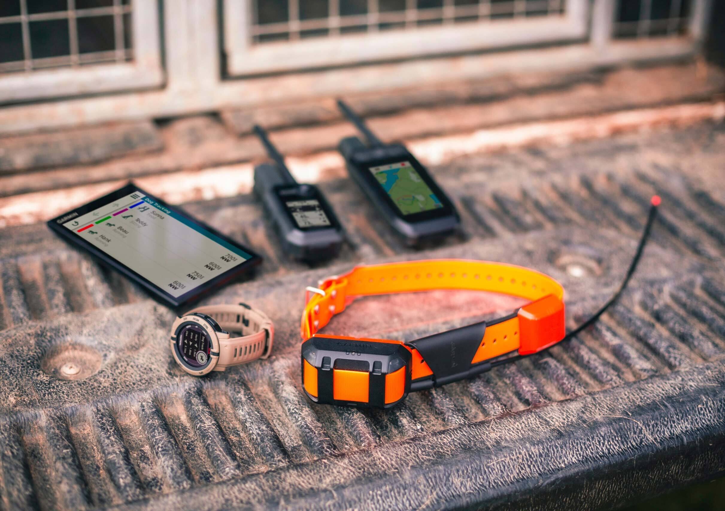 Garmin Alpha T 20 K Ortungshalsband (orange)