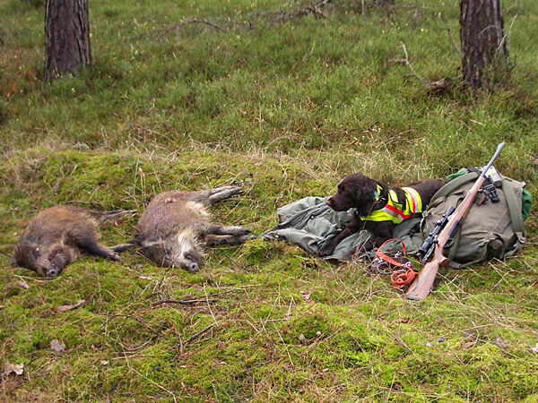 Nordforest Hunting Hundewarnweste (neongelb) Nordforest Hunting Hundewarnweste (neongelb)