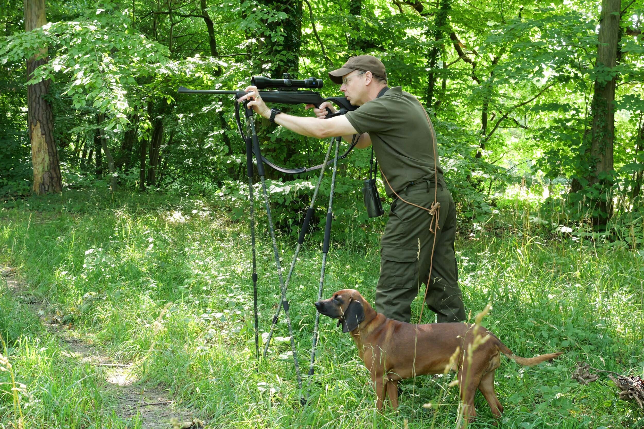 Hubertus Hunting Hose Miporex Blattschuss (dkl.-oliv) Hubertus Hunting Hose Miporex Blattschuss (dkl.-oliv)