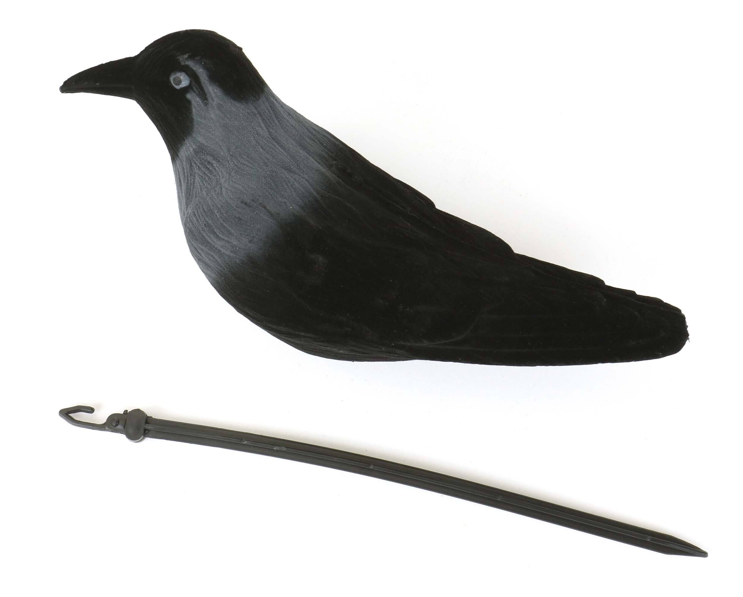 Beflockte Lockdohle Beflockte Lockdohle
