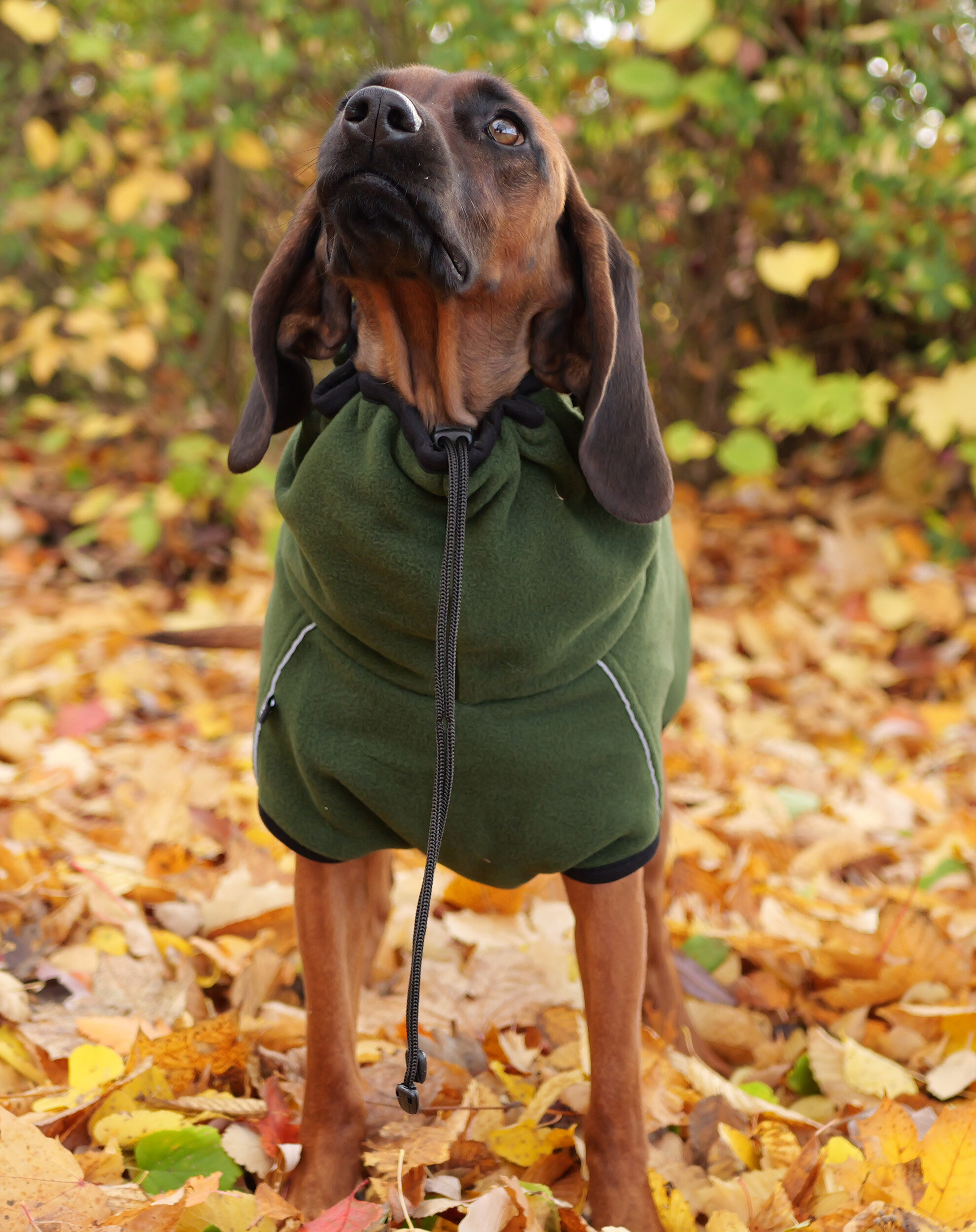 Actionfactory Hundemantel Warmup Cape Pro (pine green)