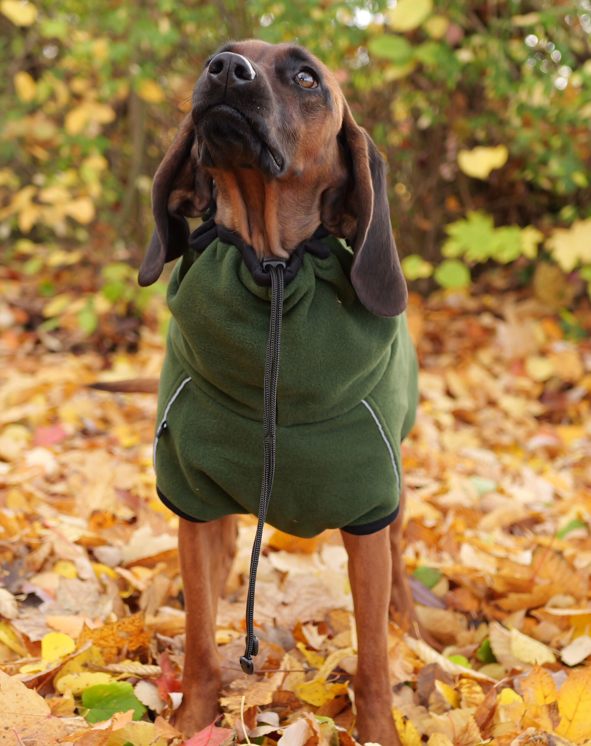 Actionfactory Hundemantel Warmup Cape Pro (pine green) Actionfactory Hundemantel Warmup Cape Pro (pine green)