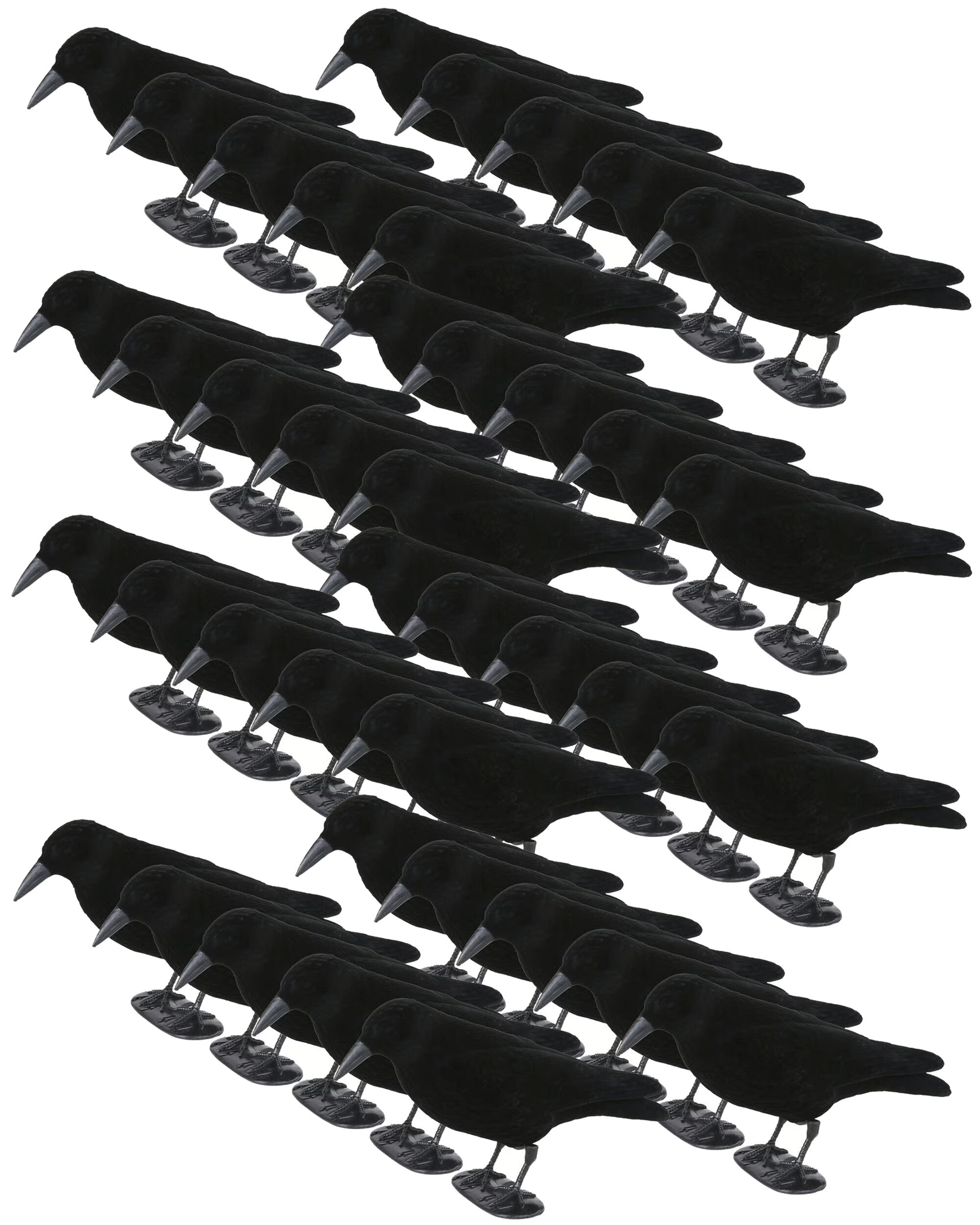 Set beflockte Lockkrähen (40 Stück)
