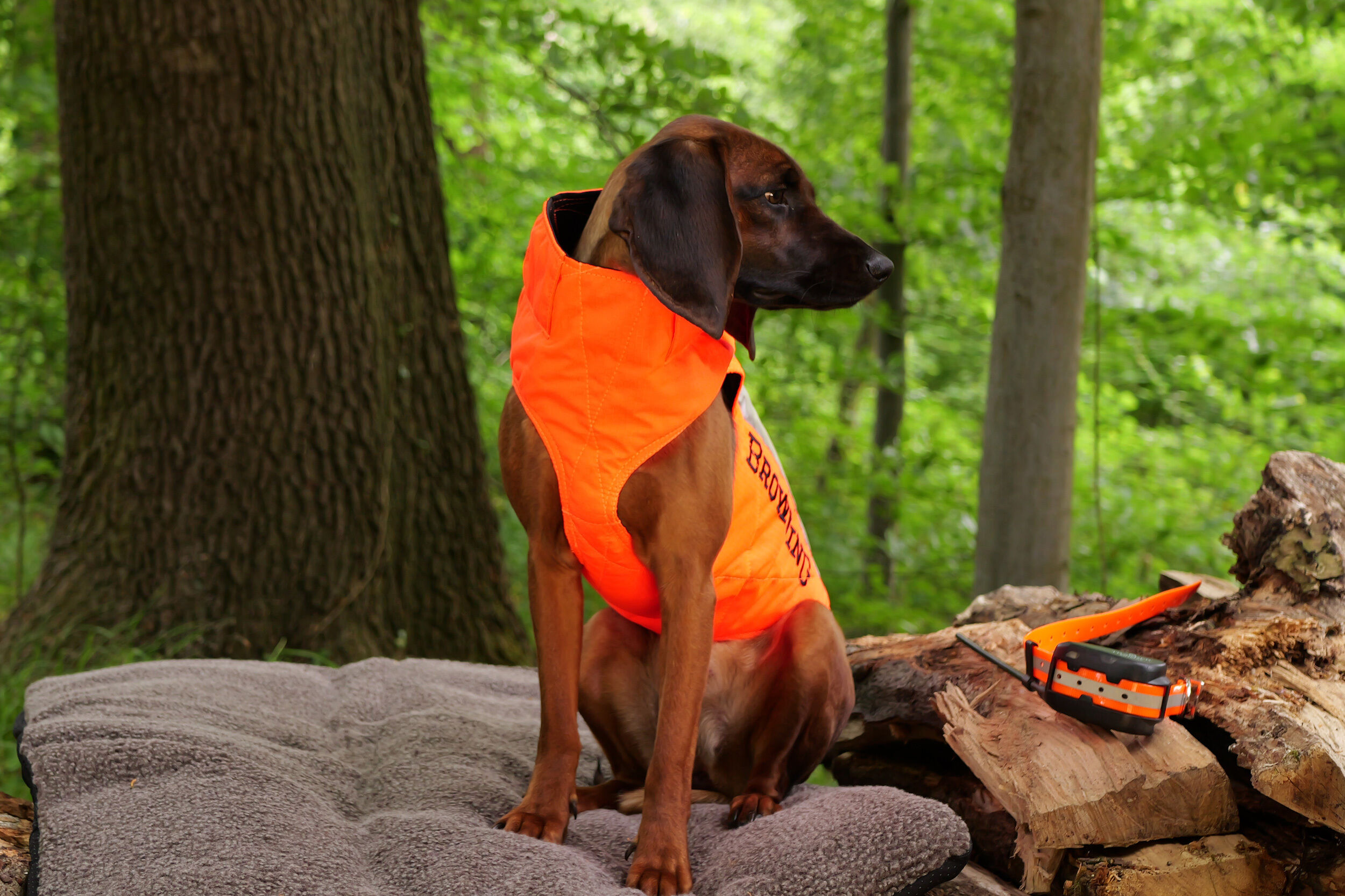 Browning Protect Hunter Hundeschutzweste (orange) Browning Protect Hunter Hundeschutzweste (orange)