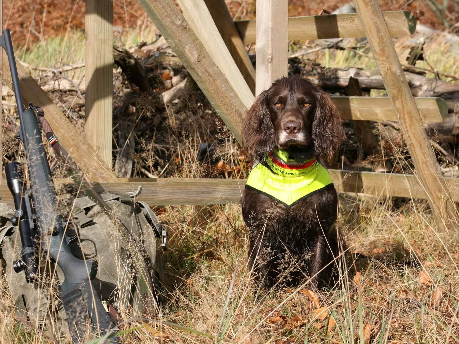 Nordforest Hunting Hundewarnhalsung (neongelb)