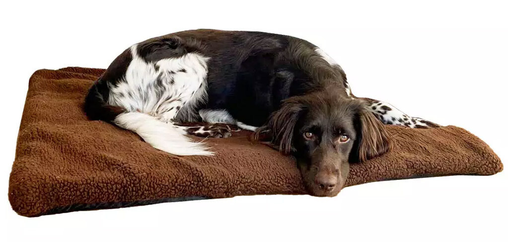 Blaser Hundedecke braun (70 x 100 cm) (braun) Blaser Hundedecke braun (70 x 100 cm) (braun)